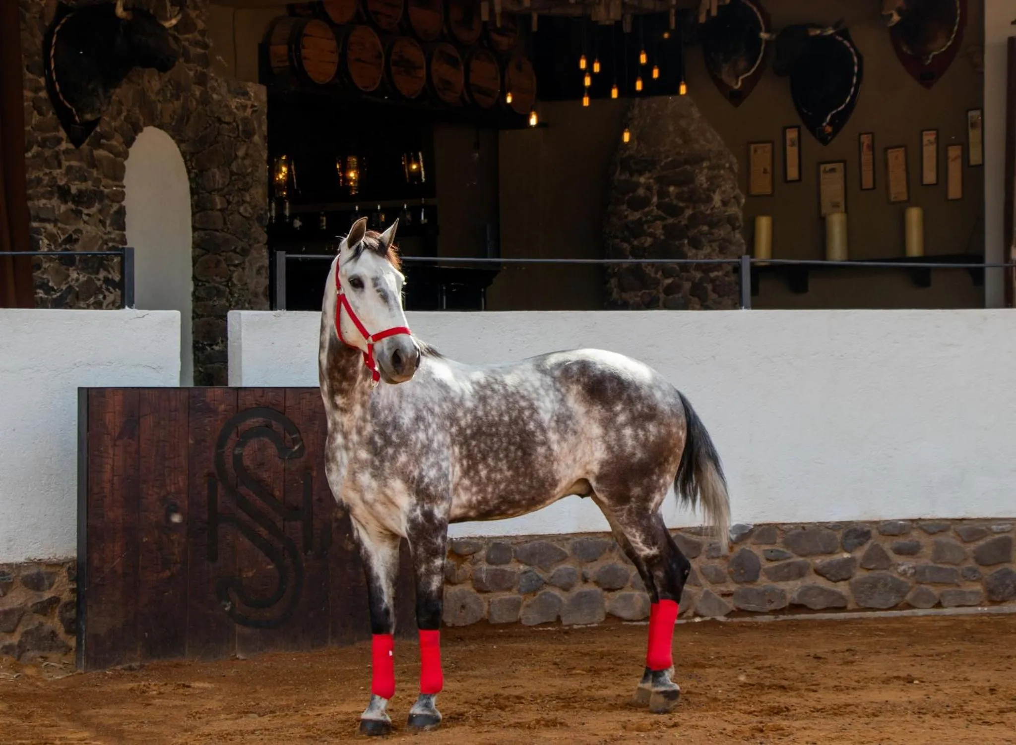 Activities in Hacienda El Salitre Hotel & Spa