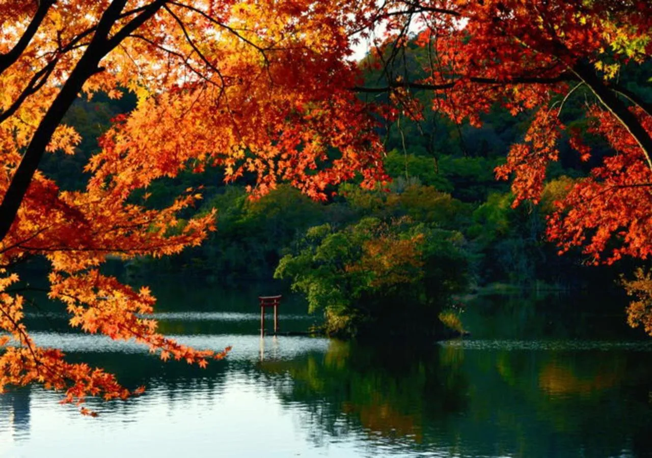 Seasons in Le Nessa Akazawa