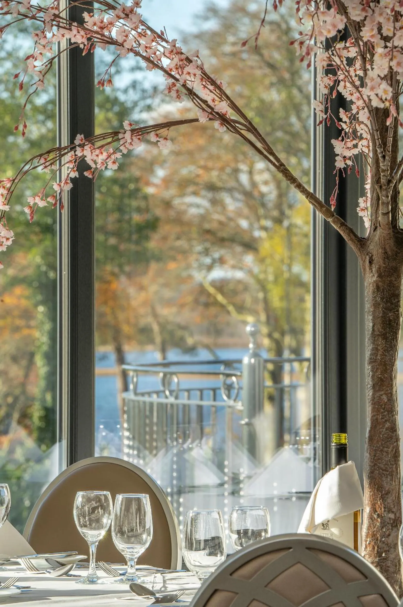 Restaurant/places to eat in Bloomfield House Hotel, Leisure Club & Spa