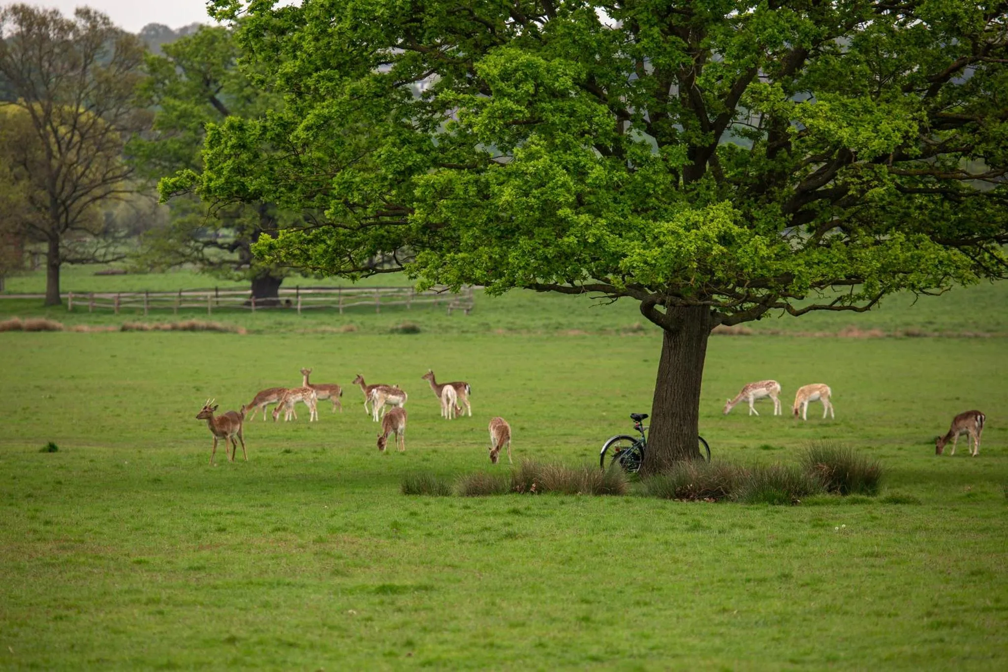 Location in Richmond Hill Hotel