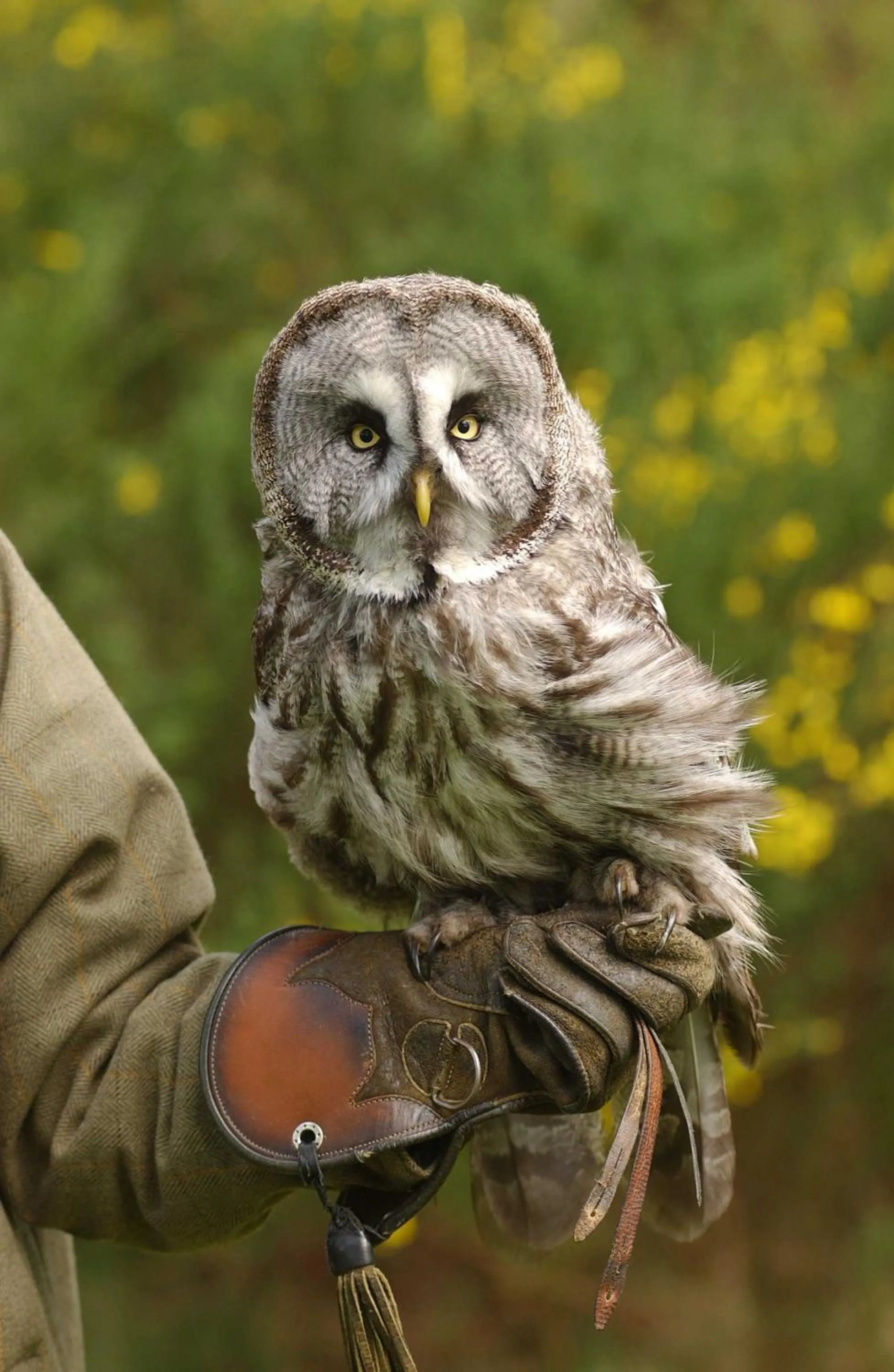 Activities in Dalhousie Castle Hotel