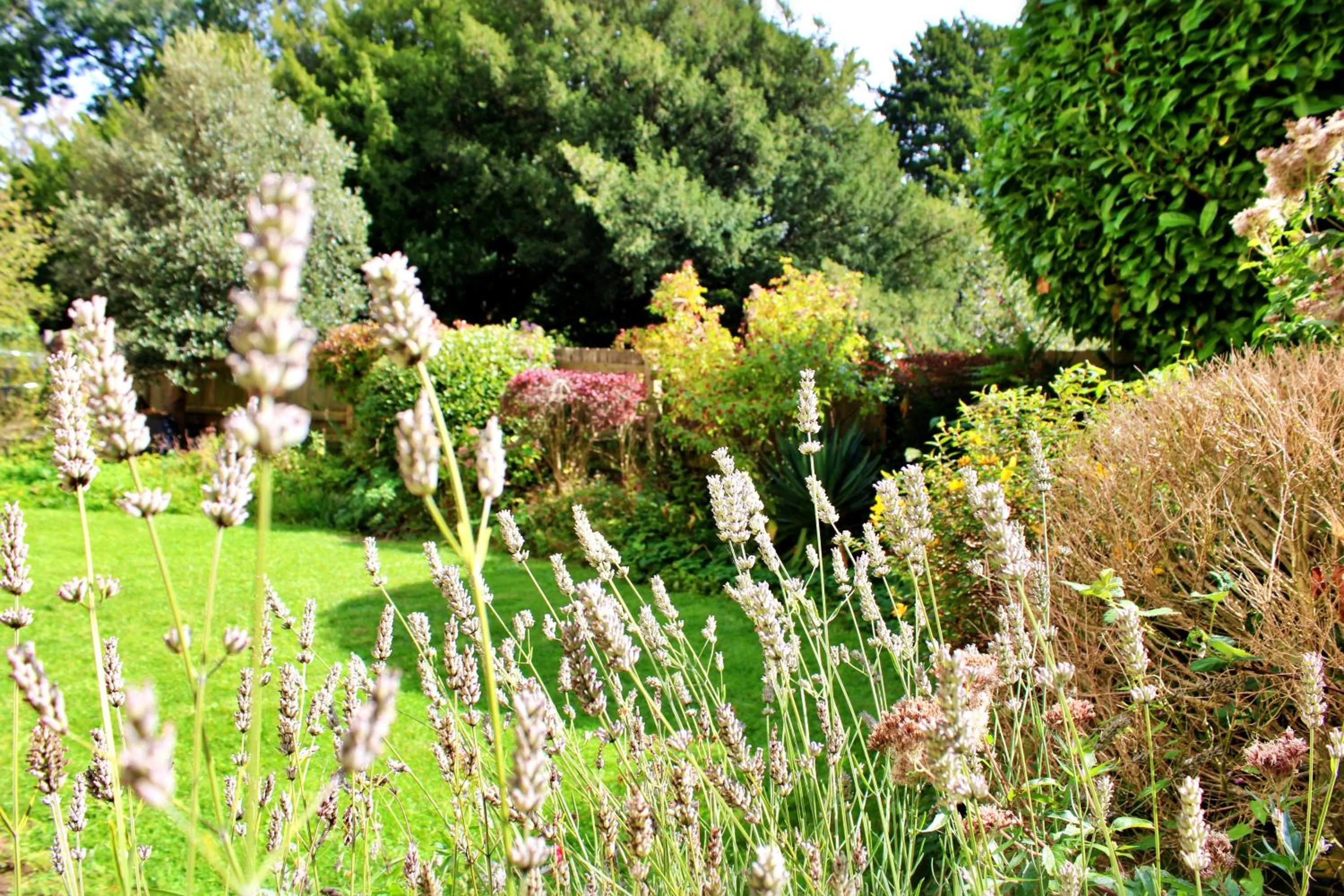 Garden in Victoria Square Hotel Clifton Village
