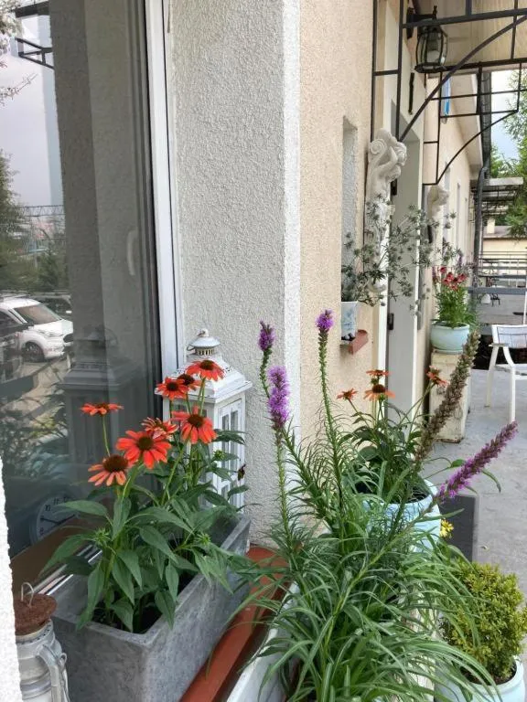 Property building in Villa Italiana pokoje z prywatnymi łazienkami & Odnowa Biologiczna