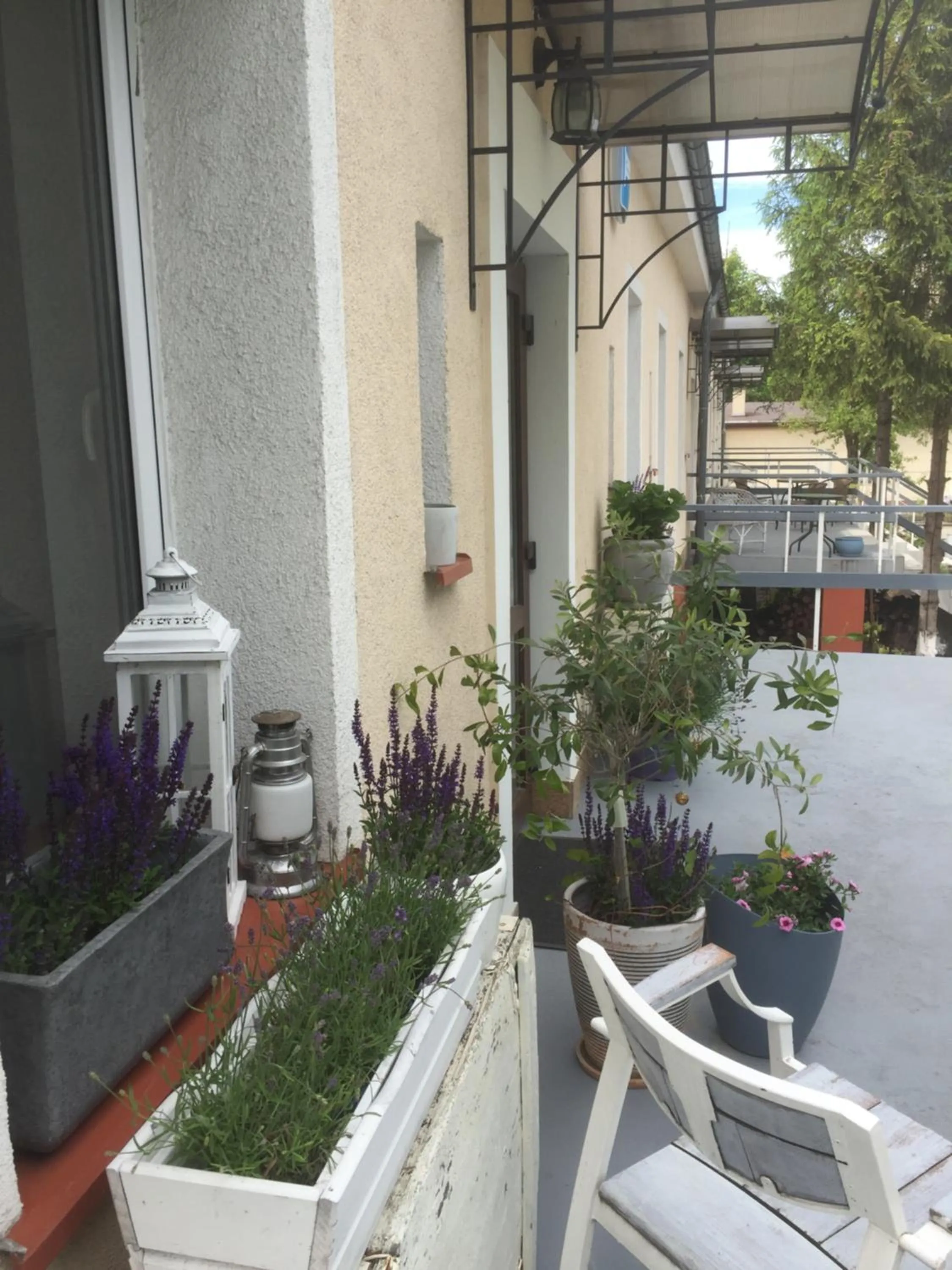 Patio in Villa Italiana pokoje z prywatnymi łazienkami & Odnowa Biologiczna