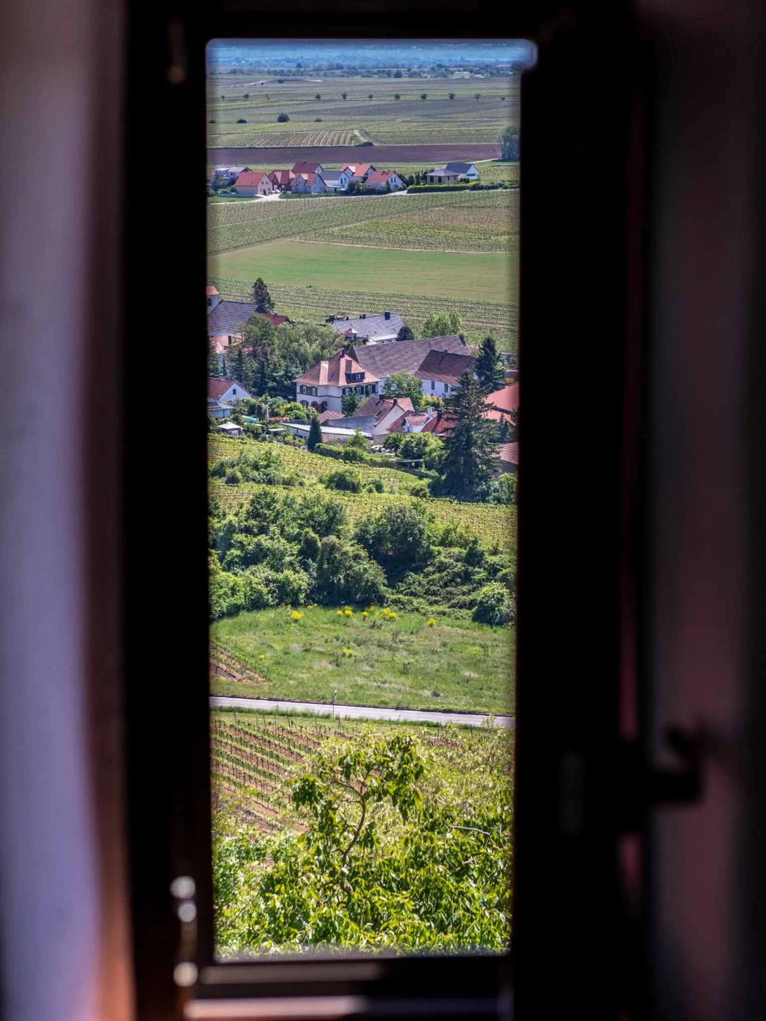 Other in Hotel Zum Burggraf