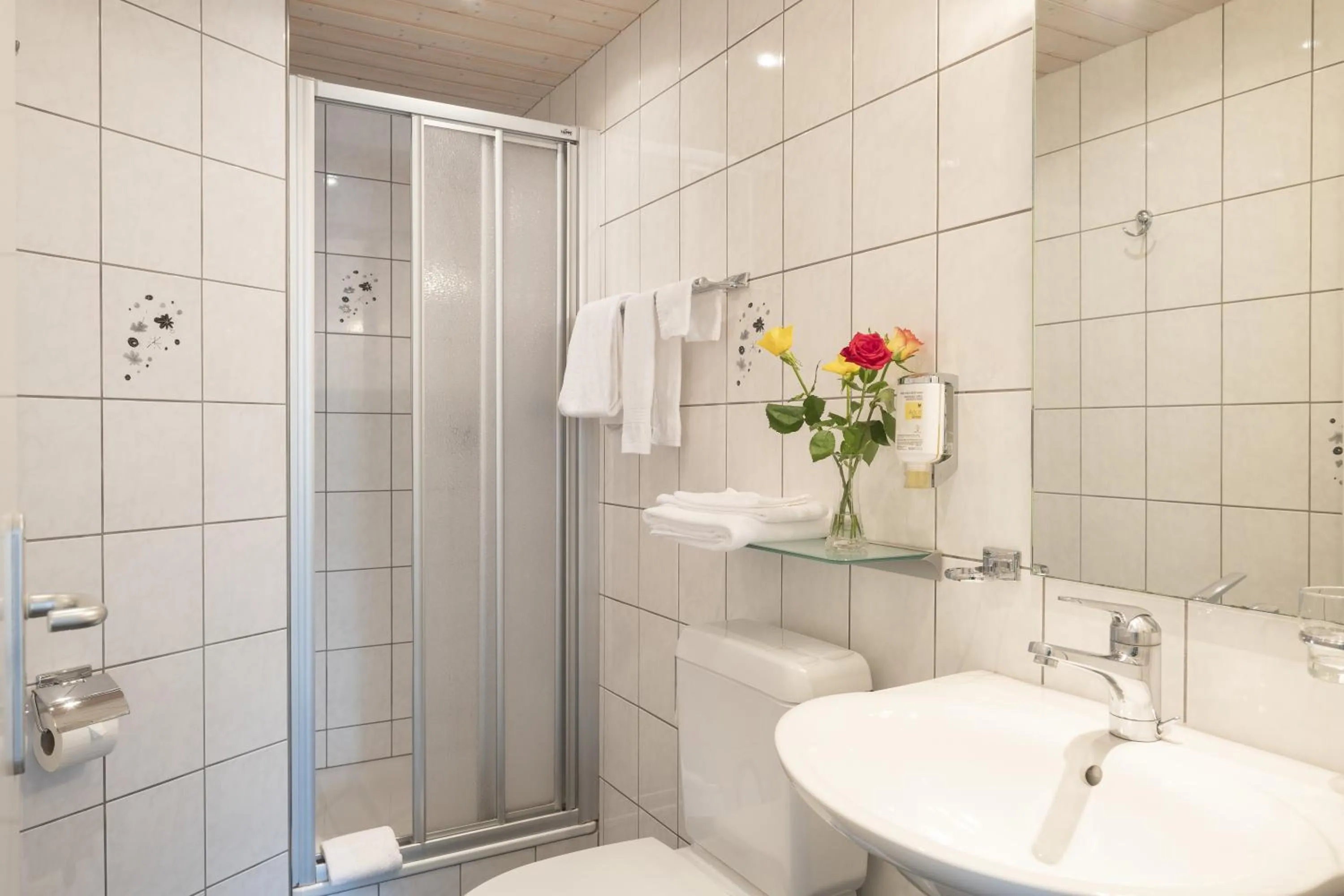 Shower in Hotel Bahnhof Zollikofen