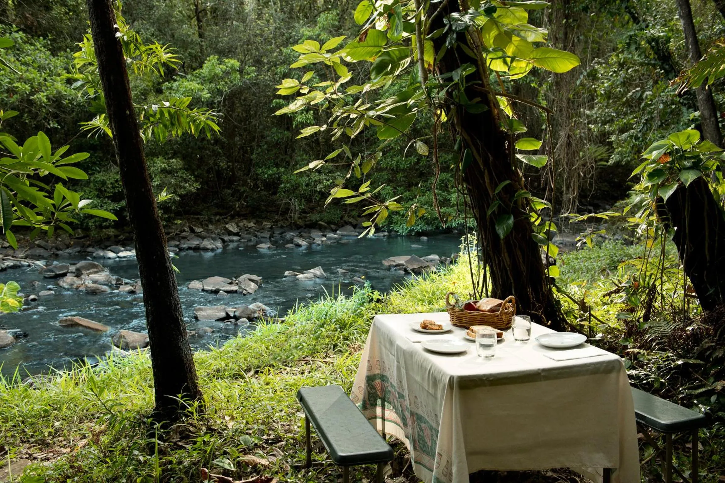 Garden in Sharlynn by the River