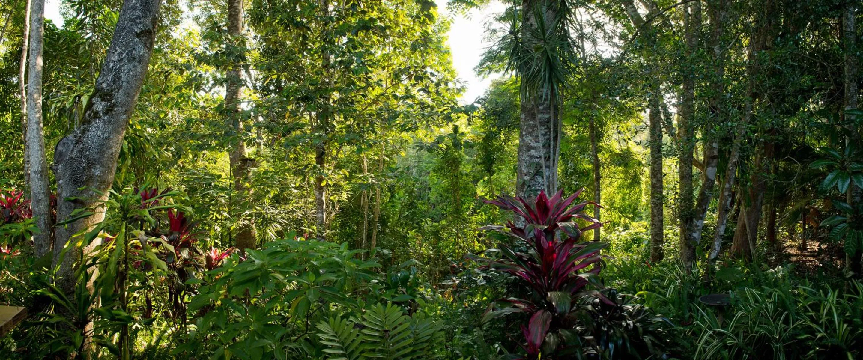 Garden in Sharlynn by the River