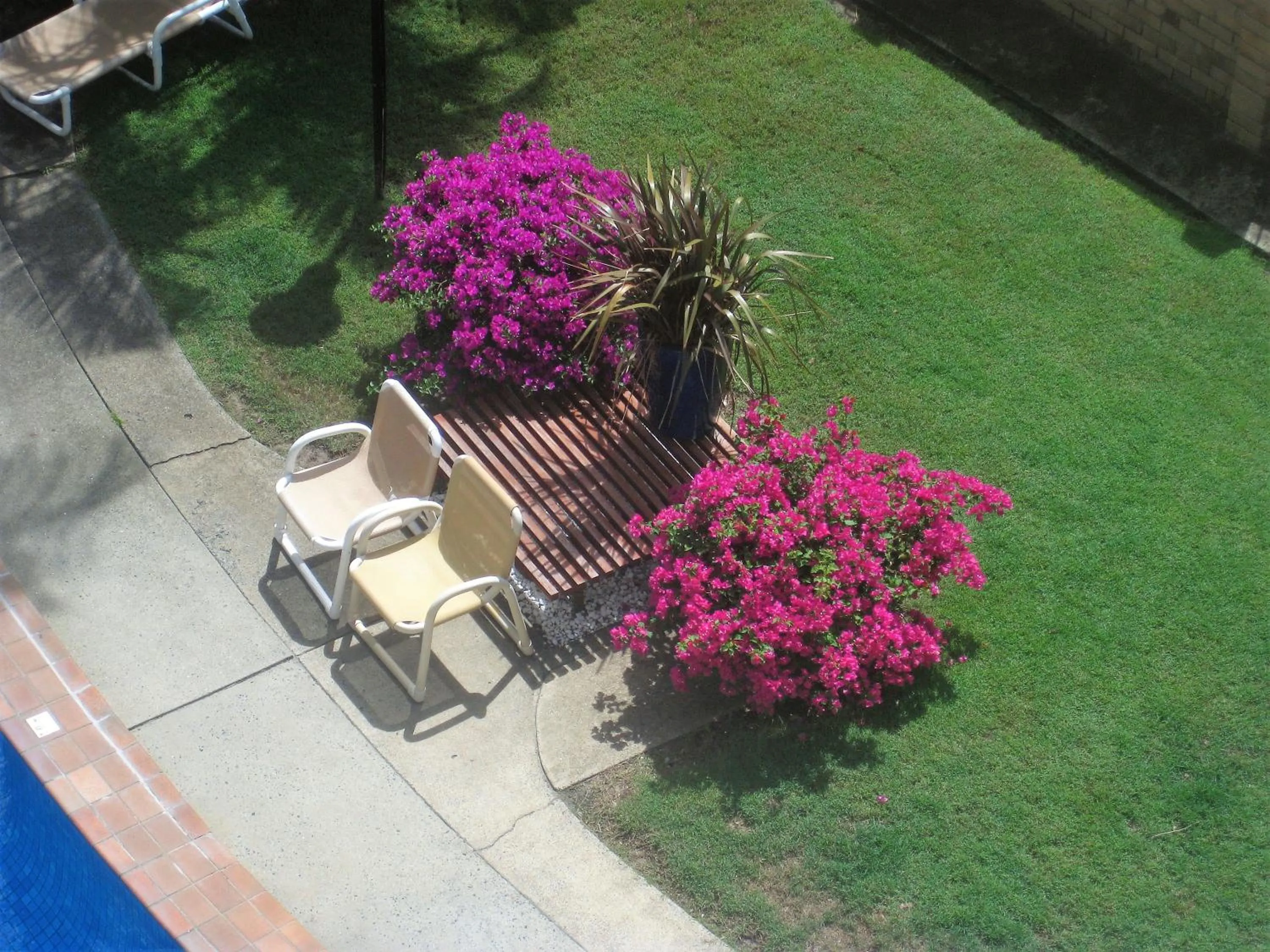 Garden in Oceania on Burleigh Beach