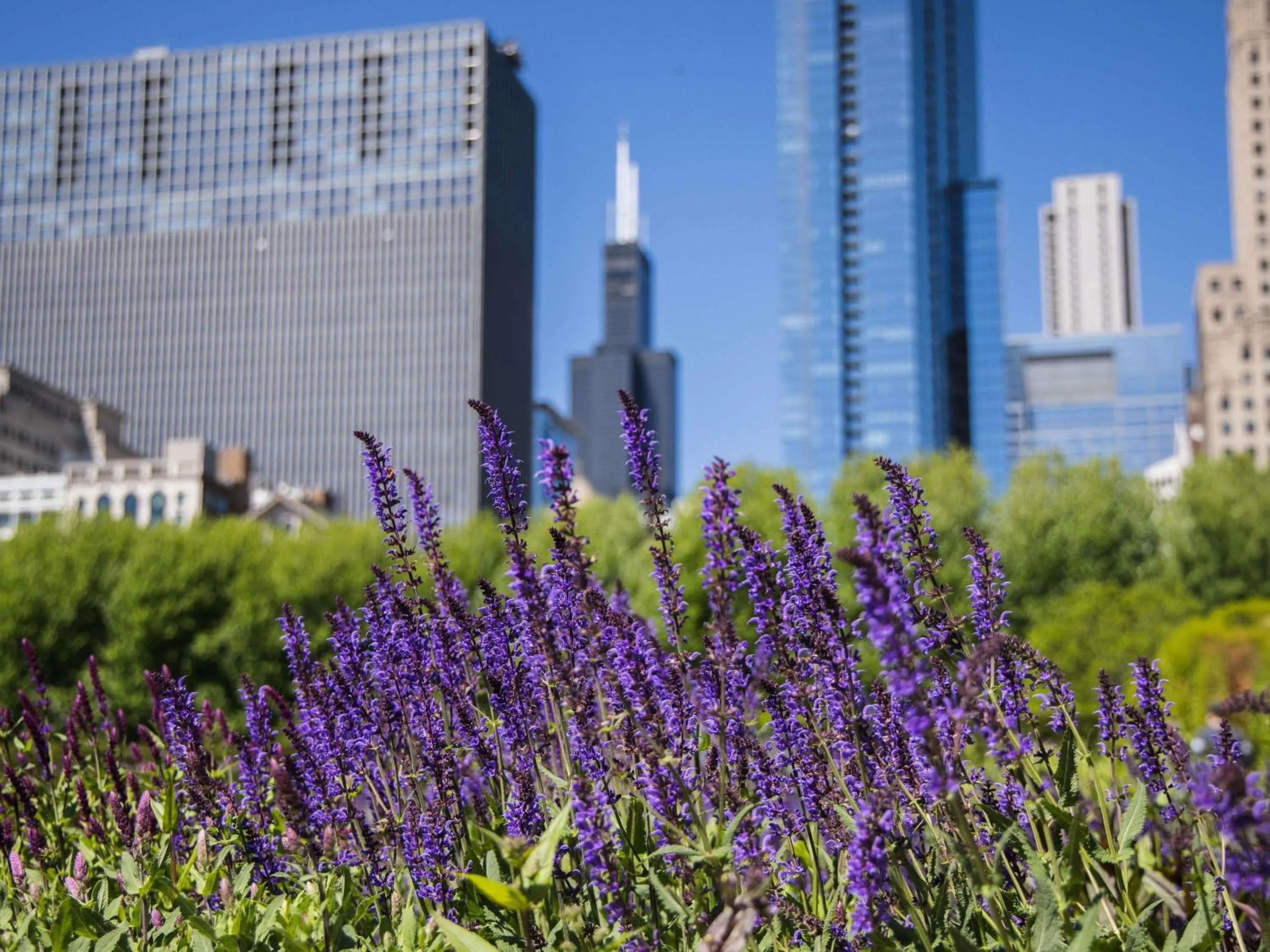 Other in Fairmont Chicago Millennium Park
