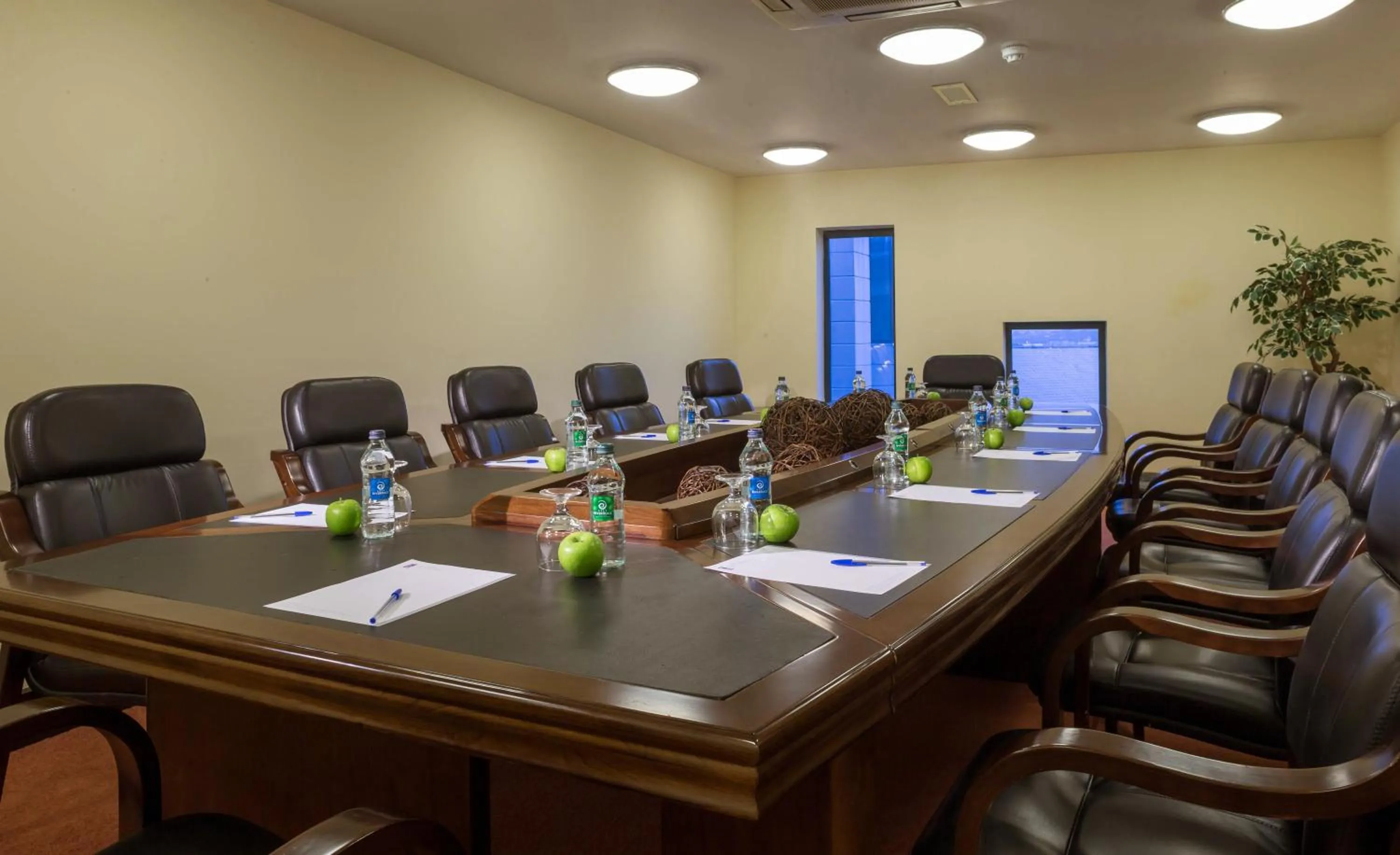 Business facilities in McGettigans Hotel