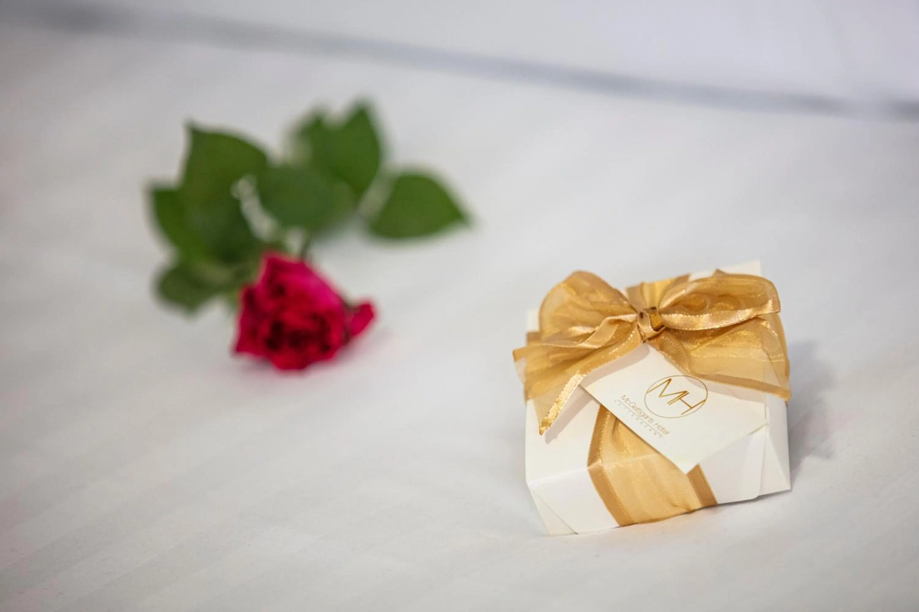 Property logo or sign in McGettigans Hotel