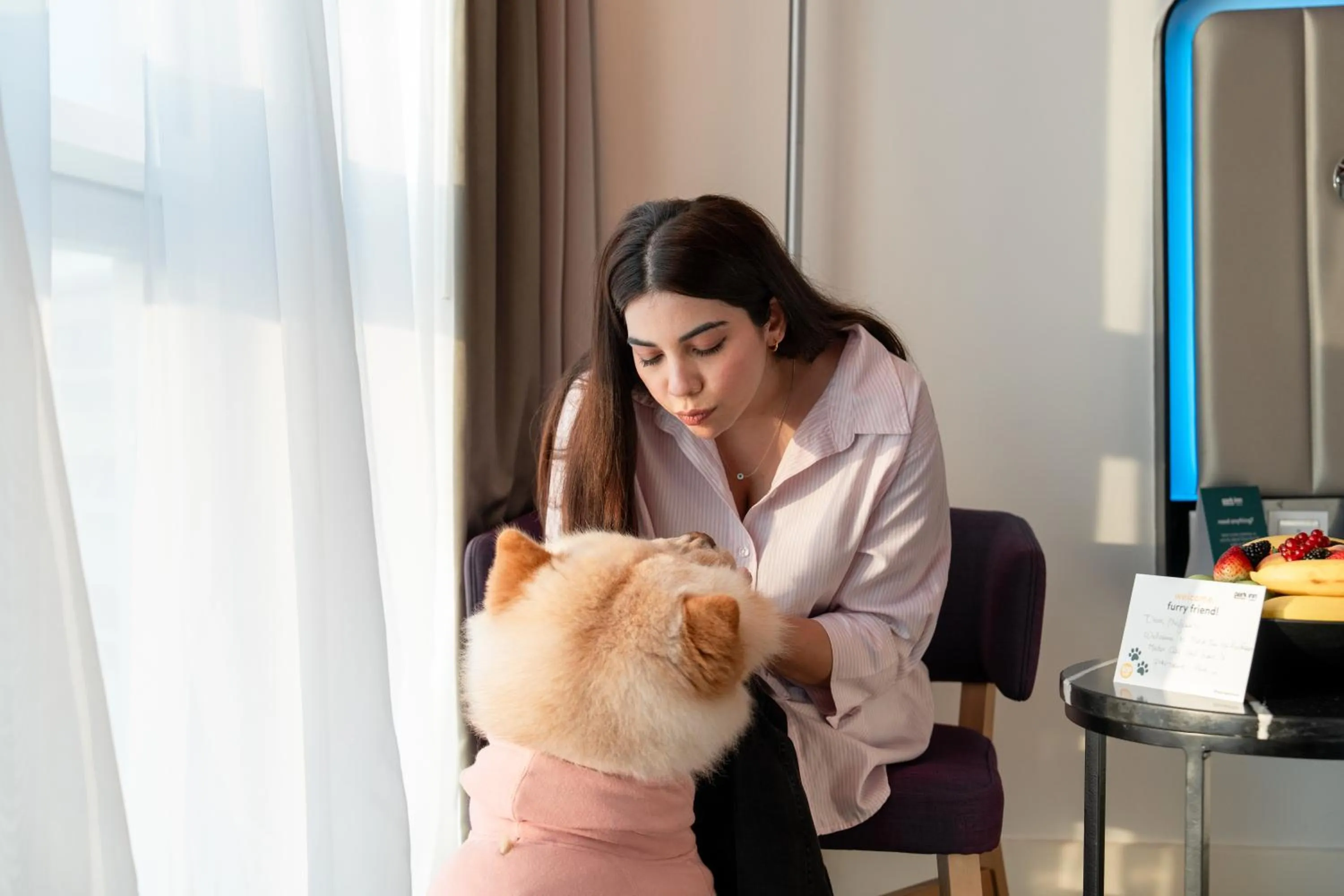 Pets in Park Inn by Radisson Dubai Motor City