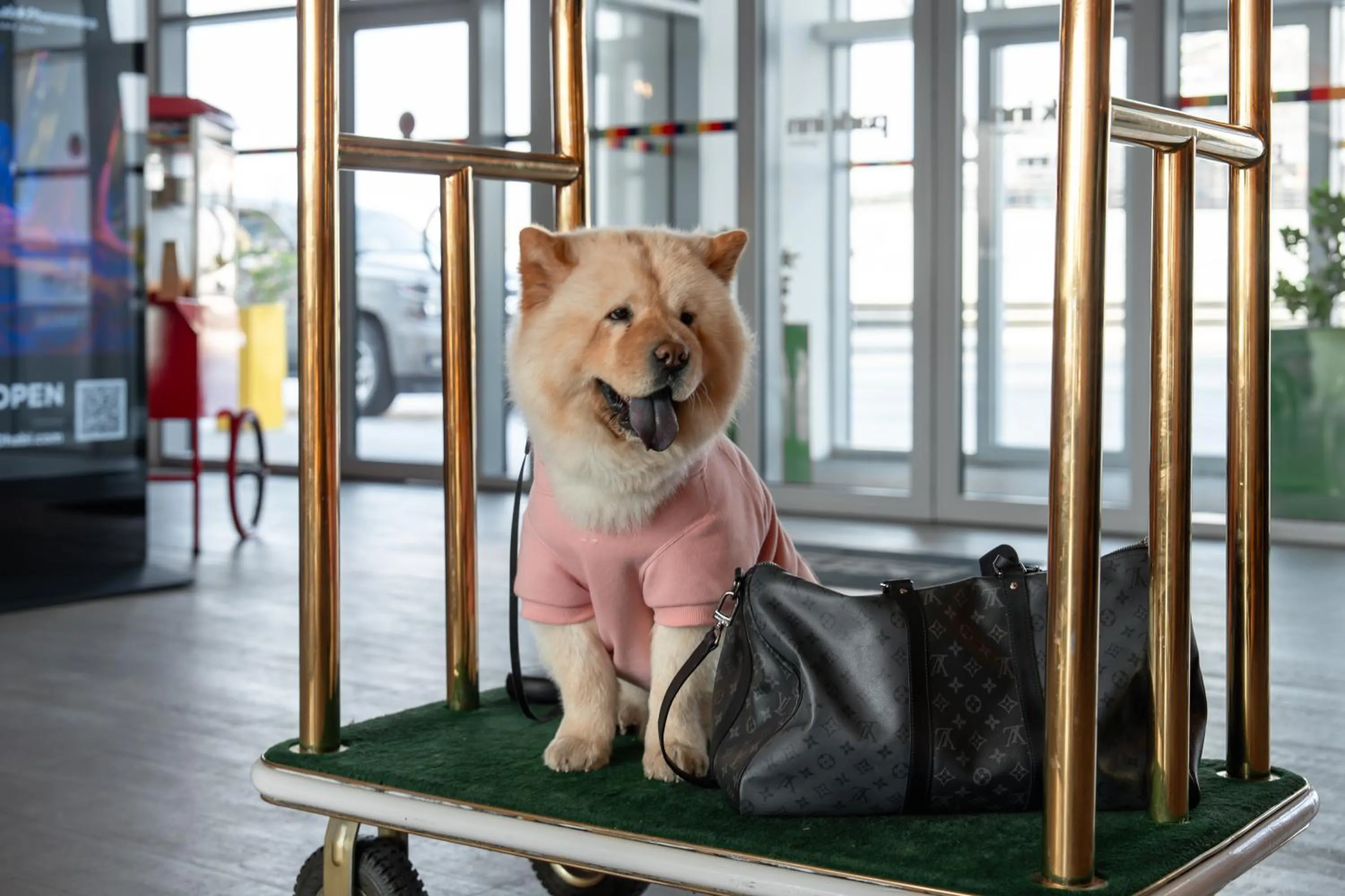 pet friendly in Park Inn by Radisson Dubai Motor City