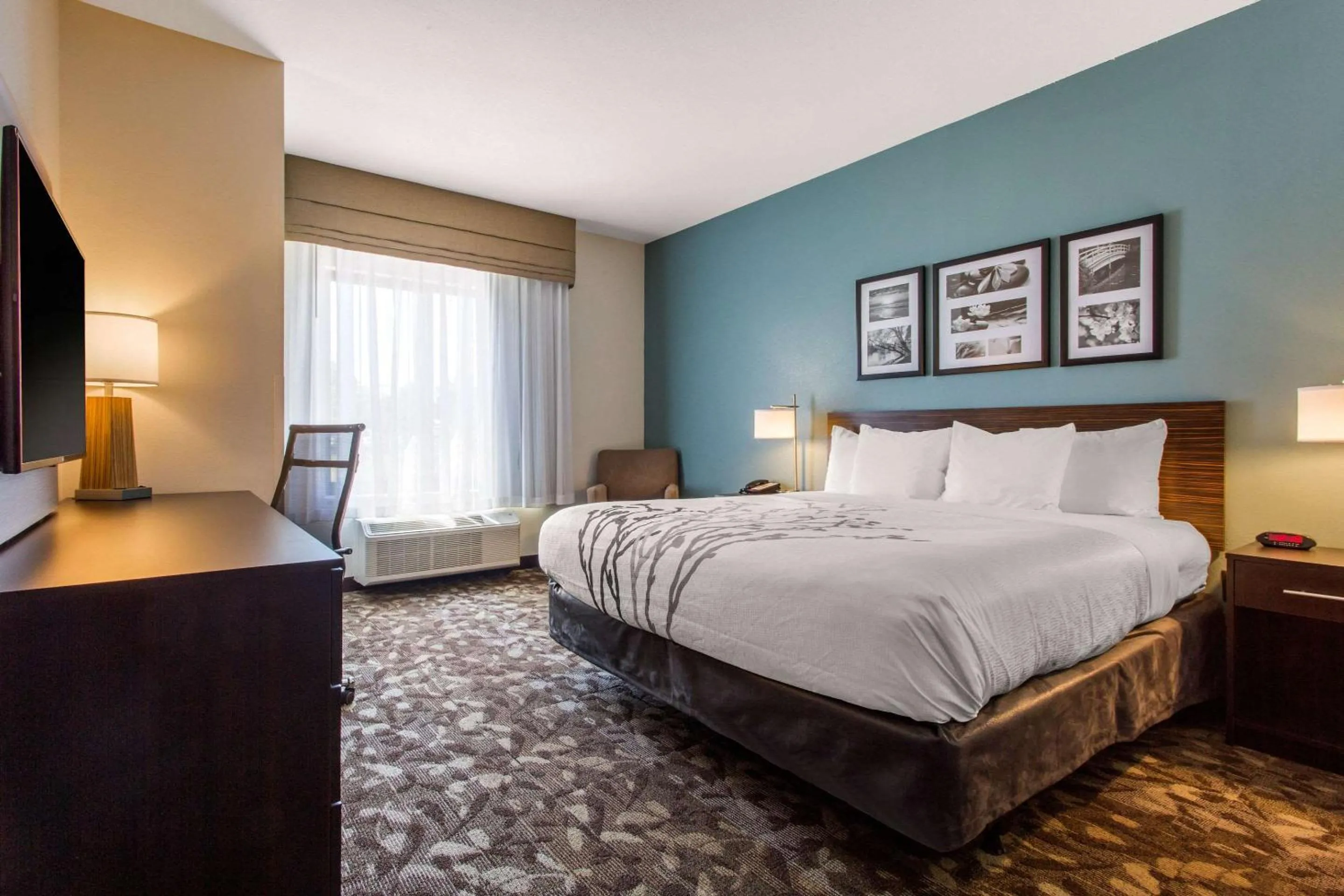 Bedroom, Bed in Sleep Inn & Suites Middletown - Goshen