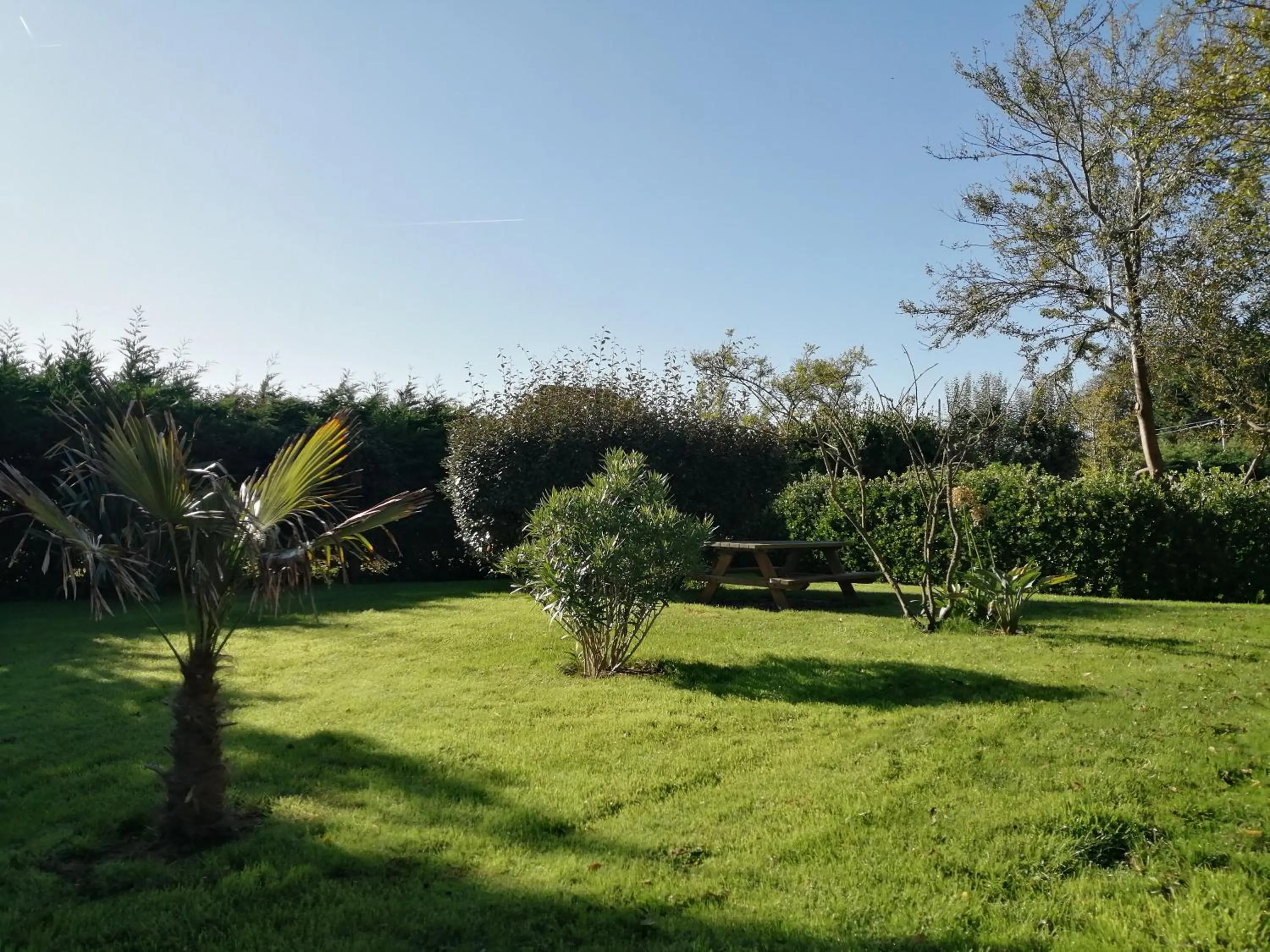 Garden in Ivy House Utah Beach