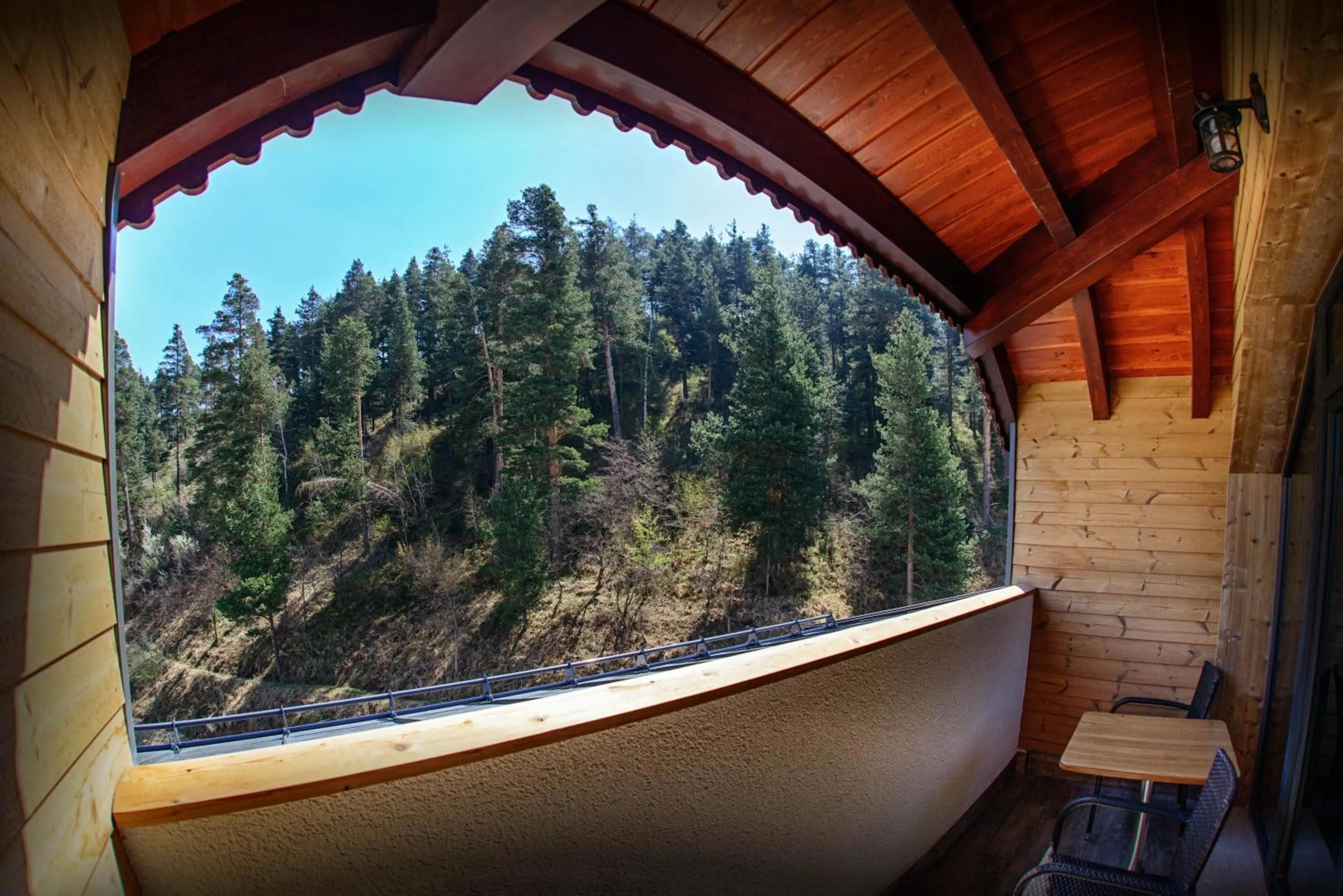 Garden view in Hot Springs Medical and SPA