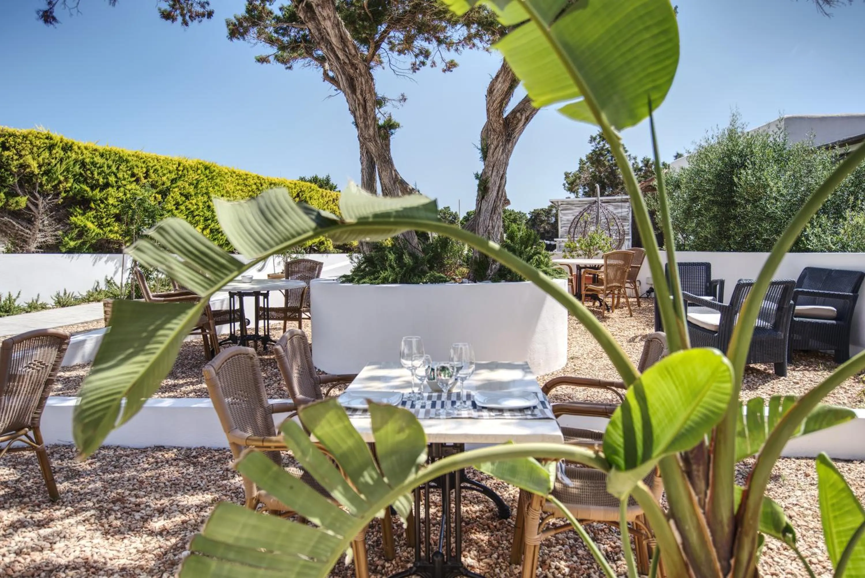 Restaurant/places to eat in Hotel Rosamar - Emar Hotels