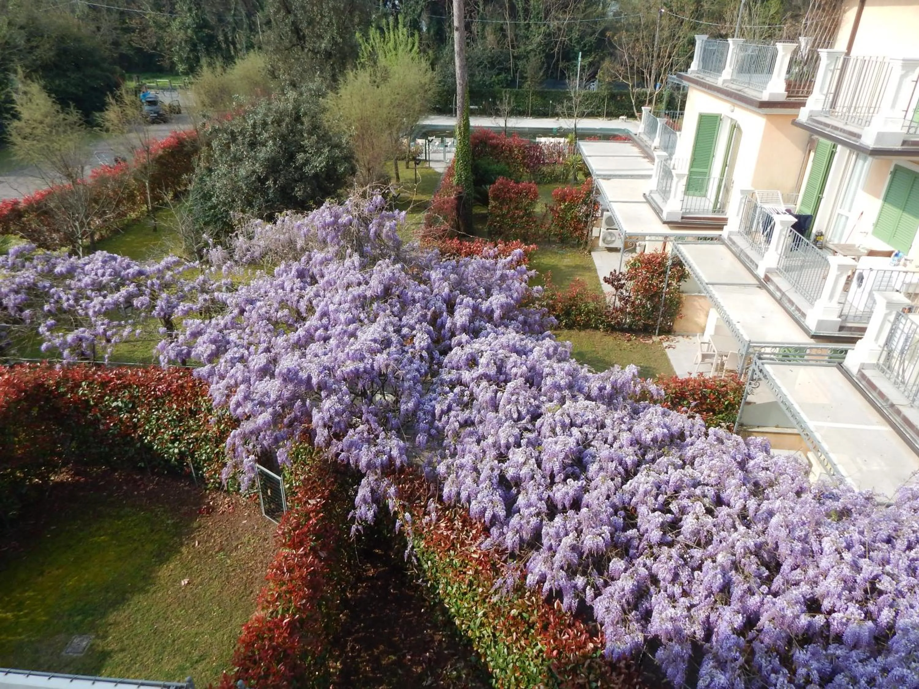 Garden view in Rta la Pergola
