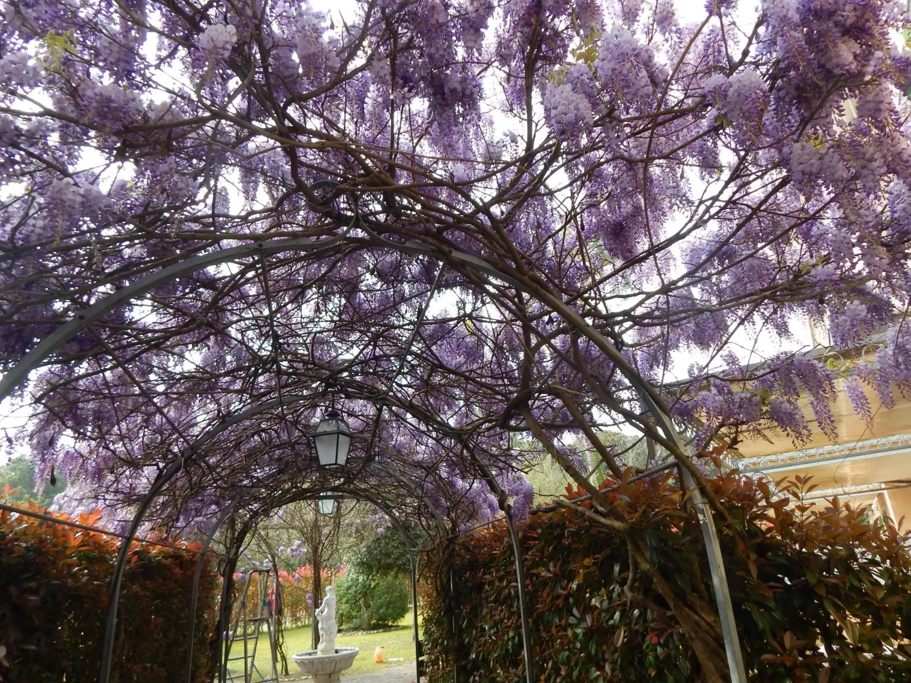 Garden in Rta la Pergola