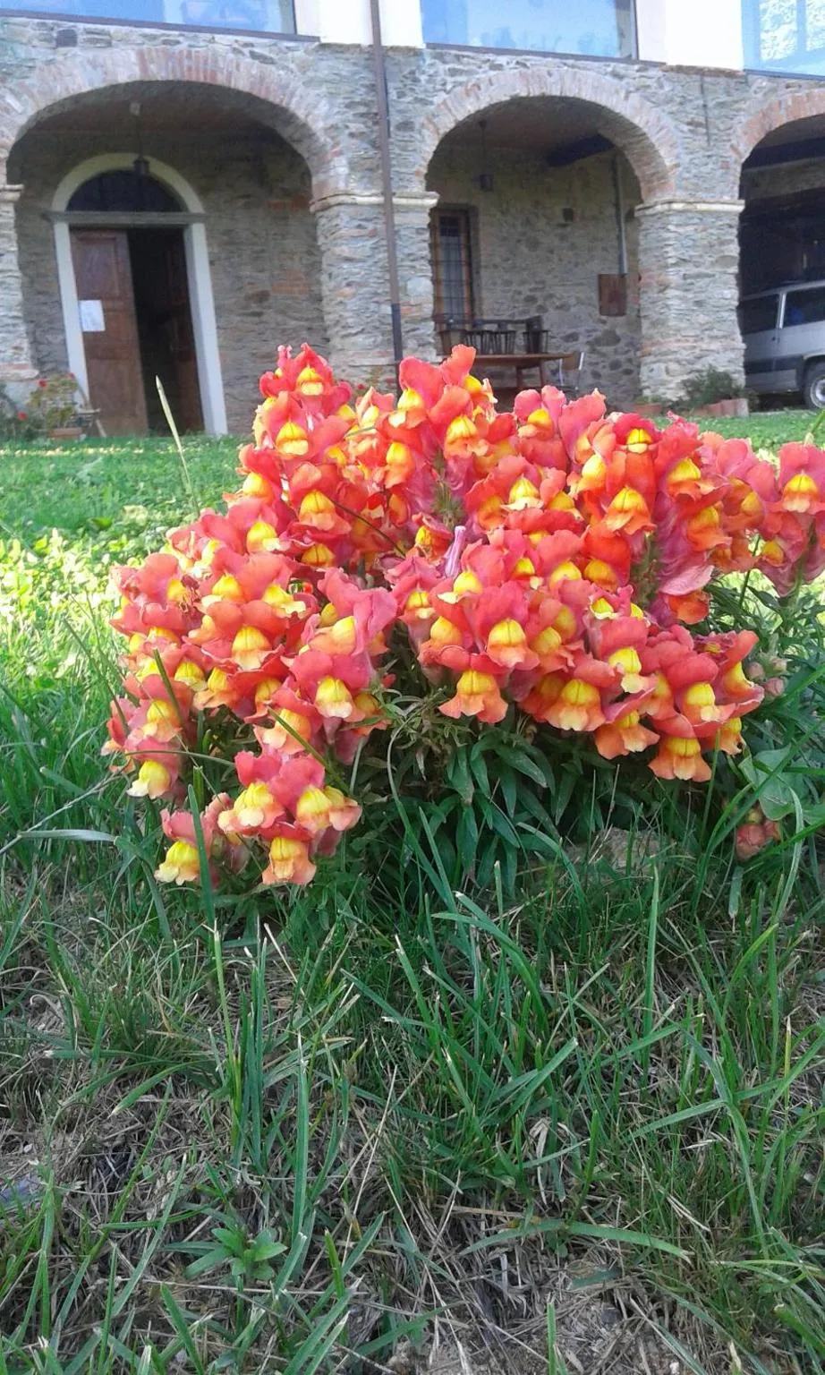 Garden view in Antico Convento