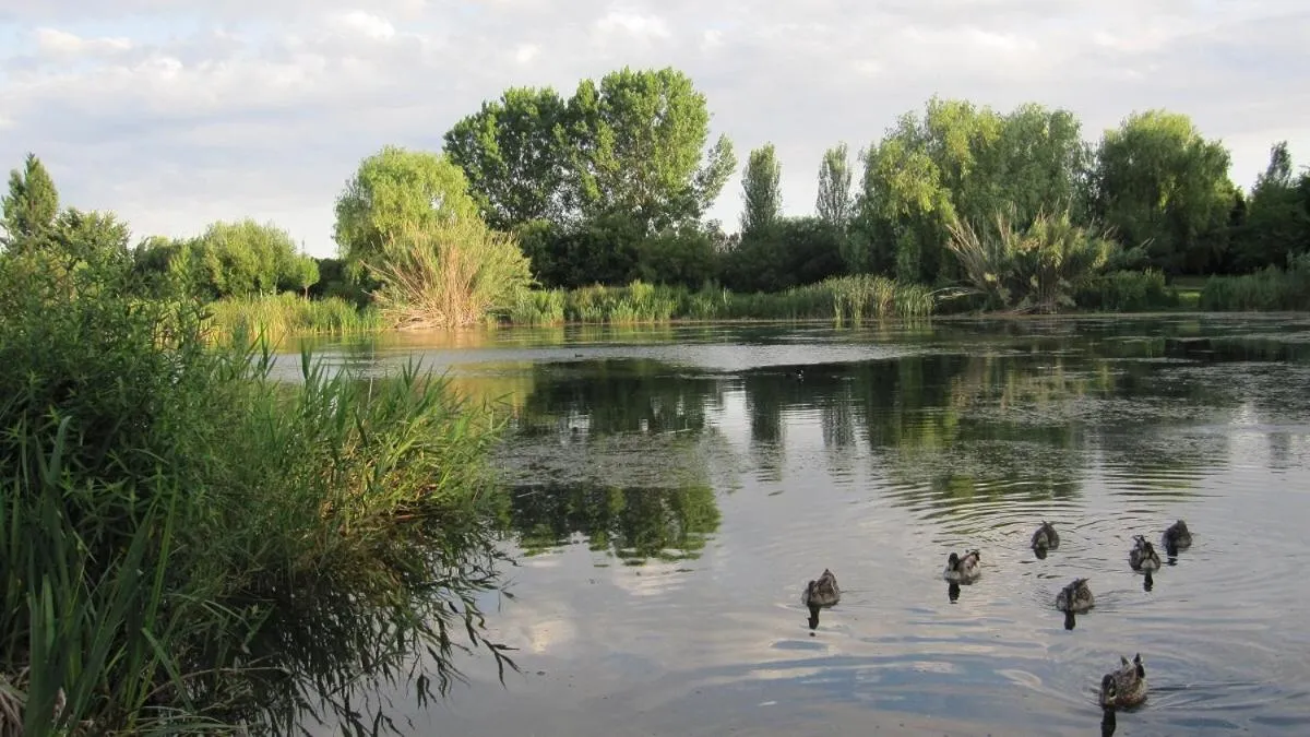 Natural landscape in Hugo Beach Hotel & Apartments