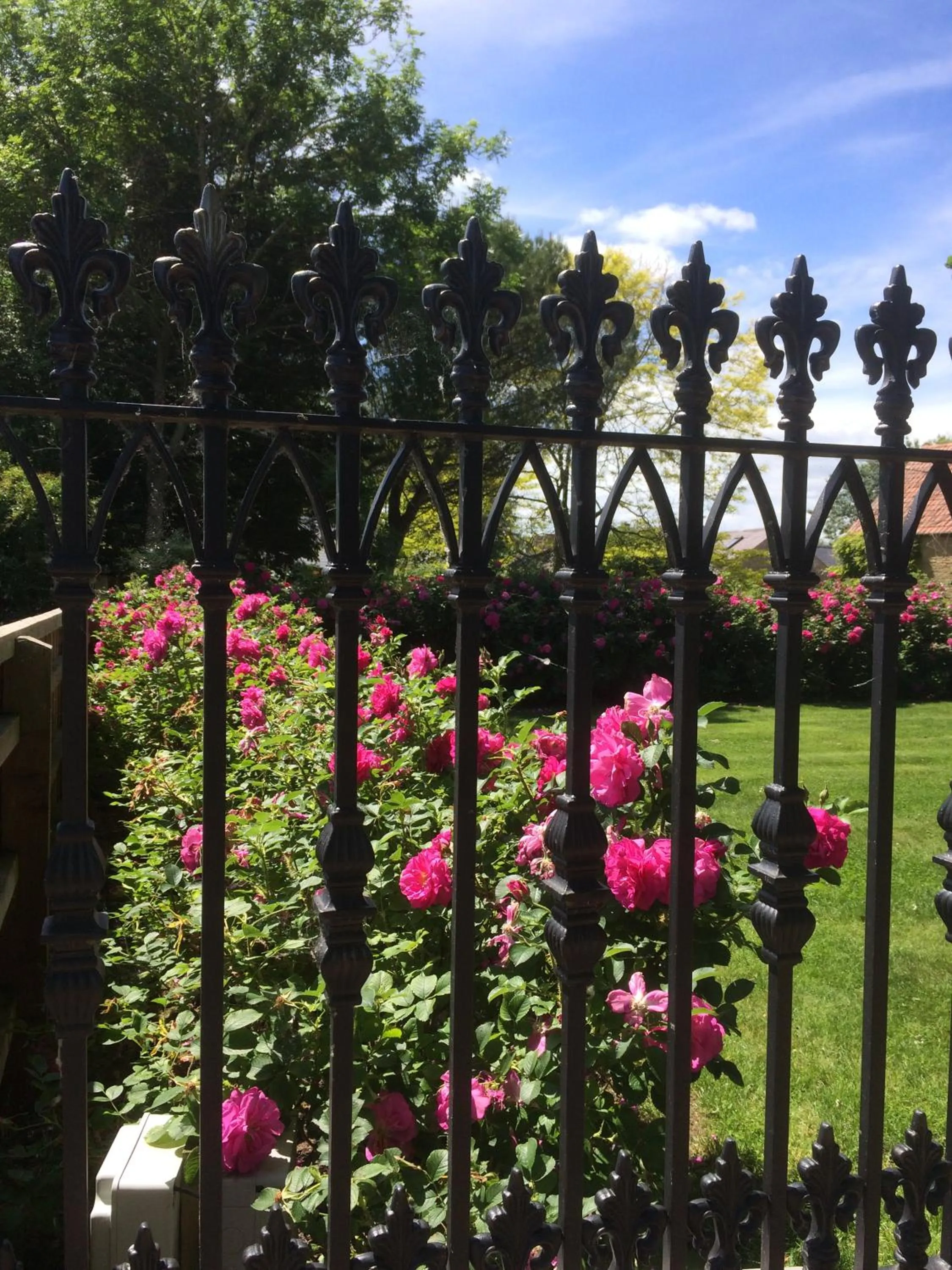 Garden in Lime Trees Farm