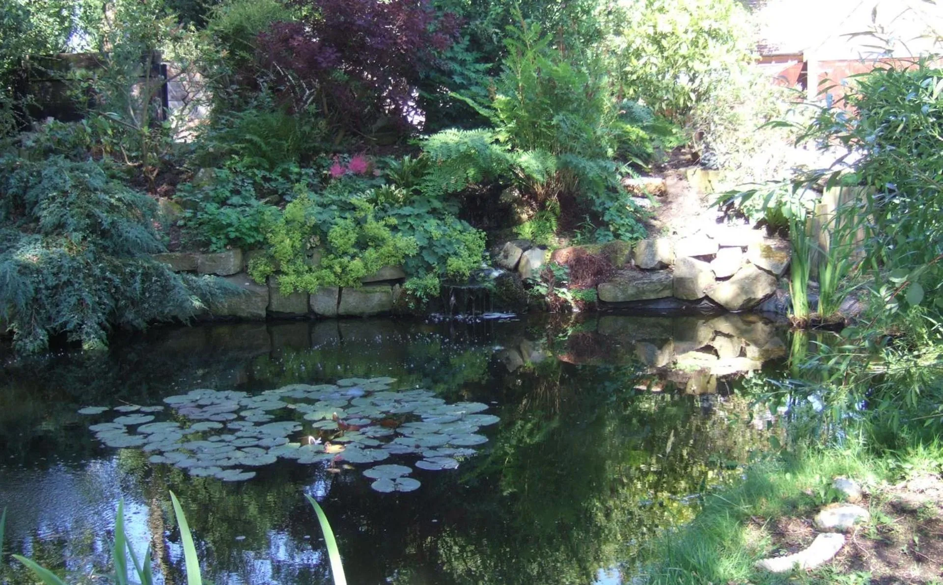 Garden in Lime Trees Farm