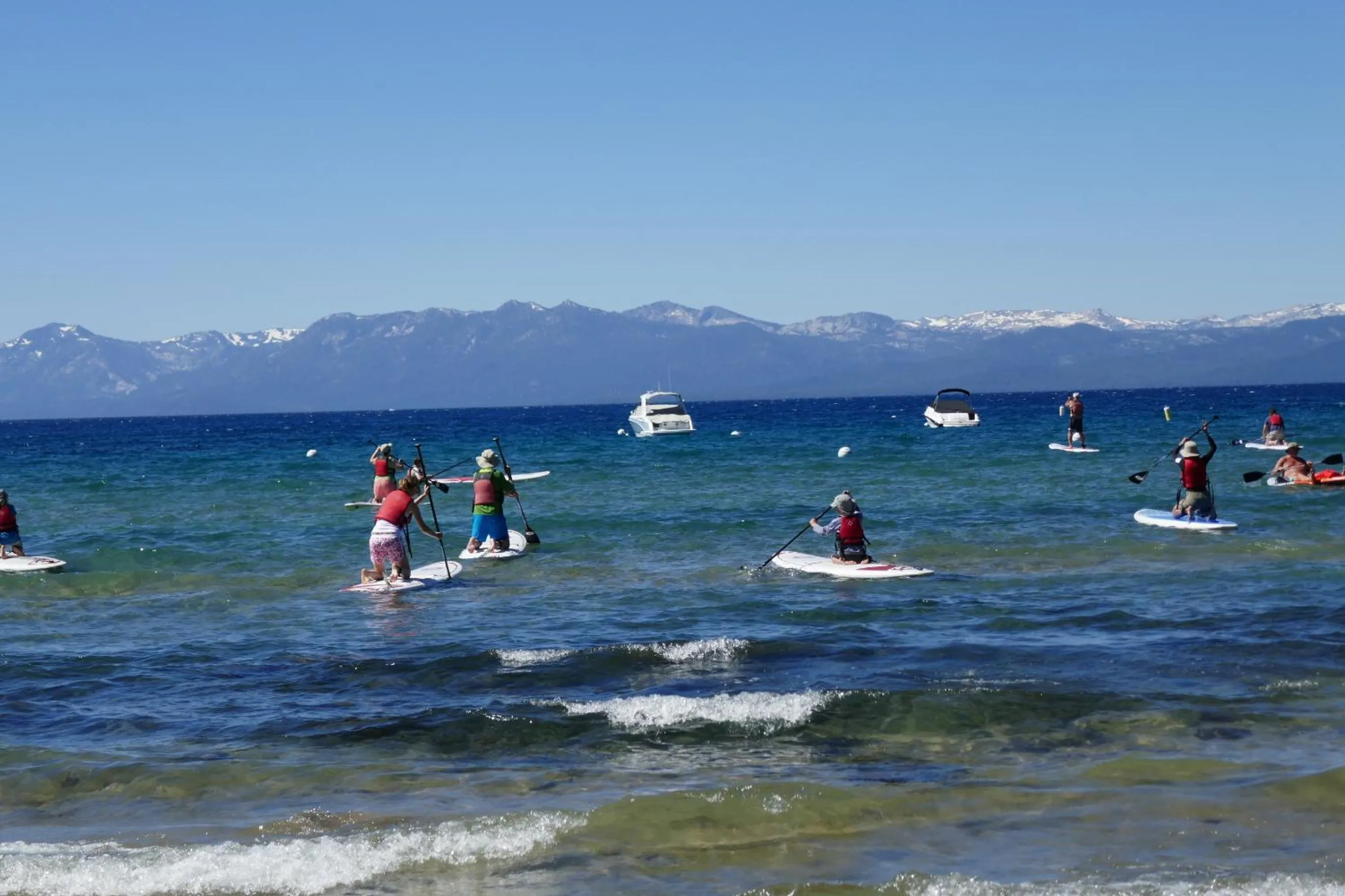 Neighbourhood in Firelite Lodge