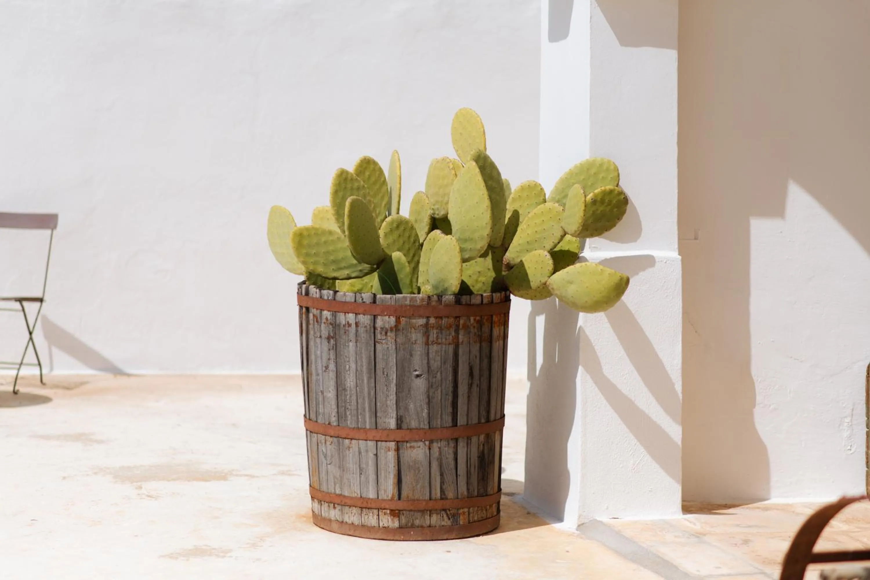 Summer in Masseria San Michele