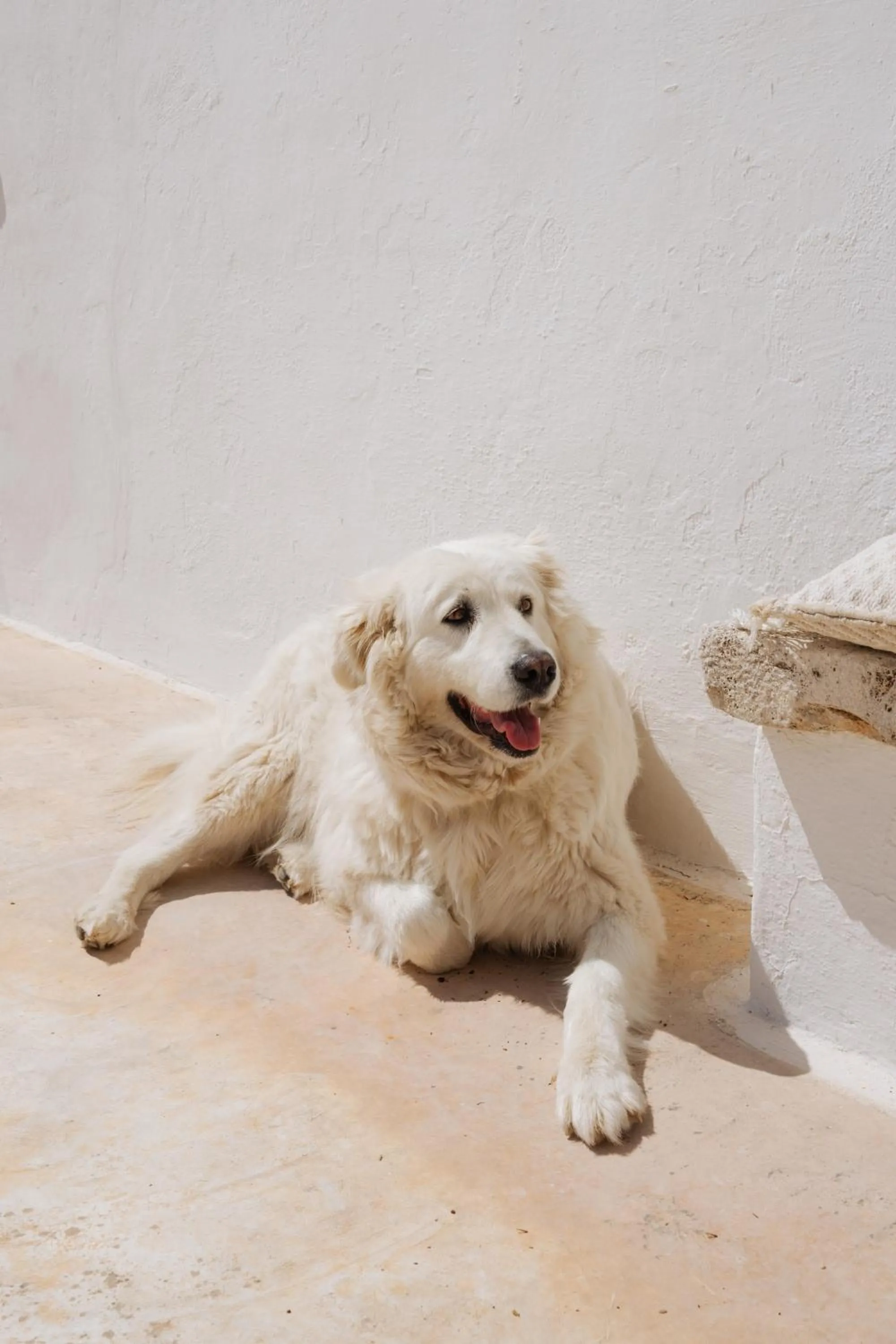 Family in Masseria San Michele