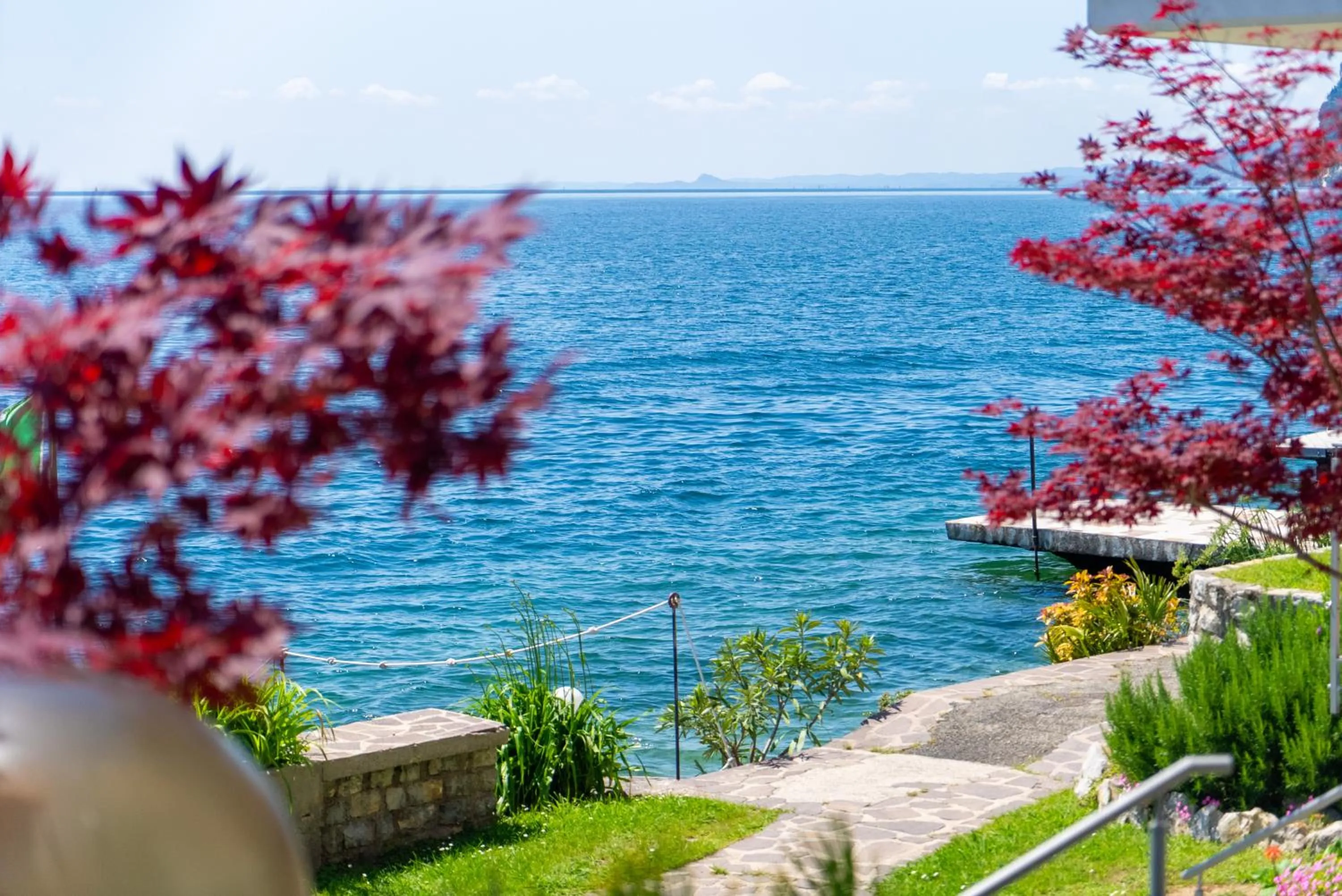 Natural landscape in Hotel Forbisicle