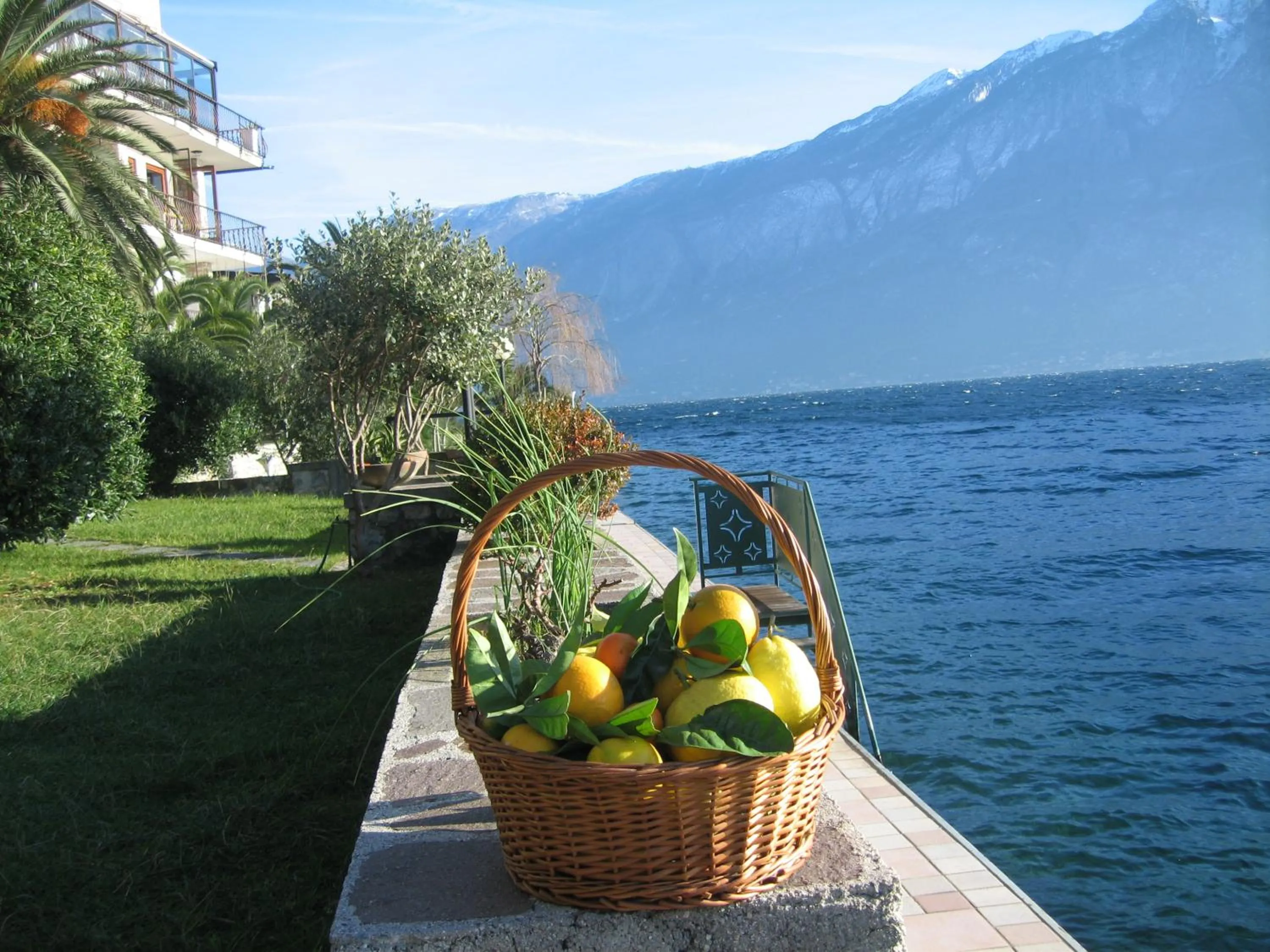 Spring in Hotel Forbisicle