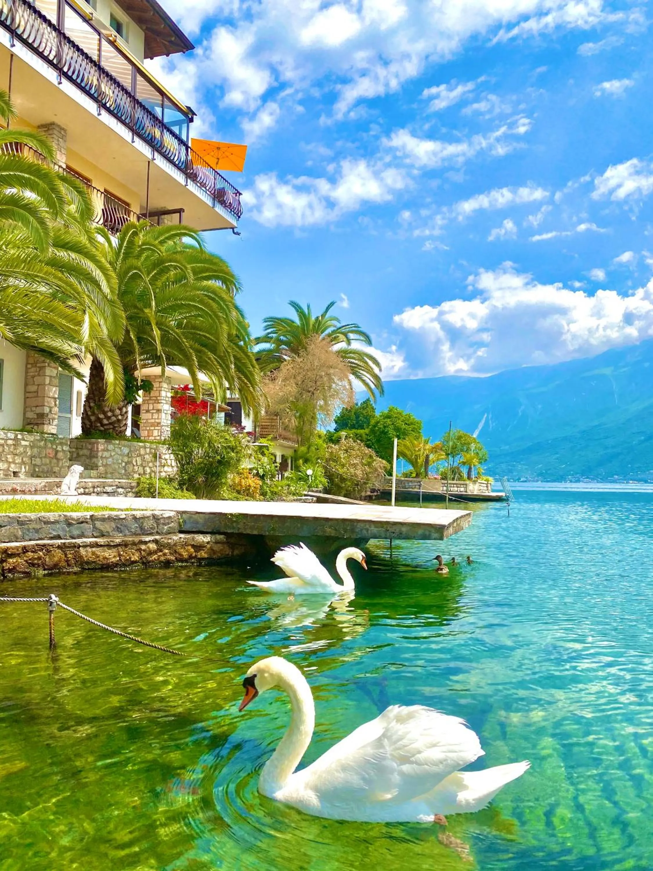 Animals in Hotel Forbisicle