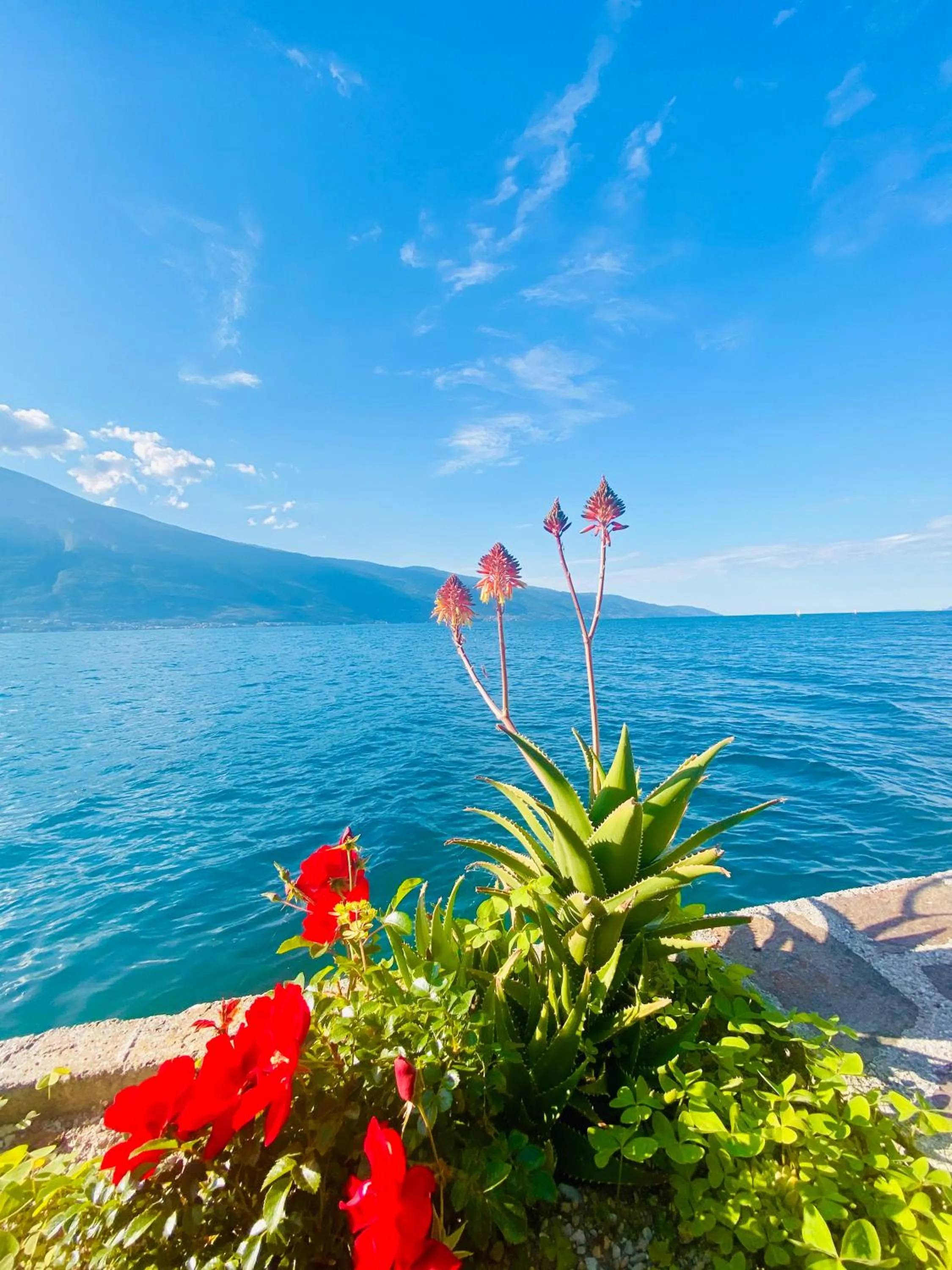 Natural landscape in Hotel Forbisicle