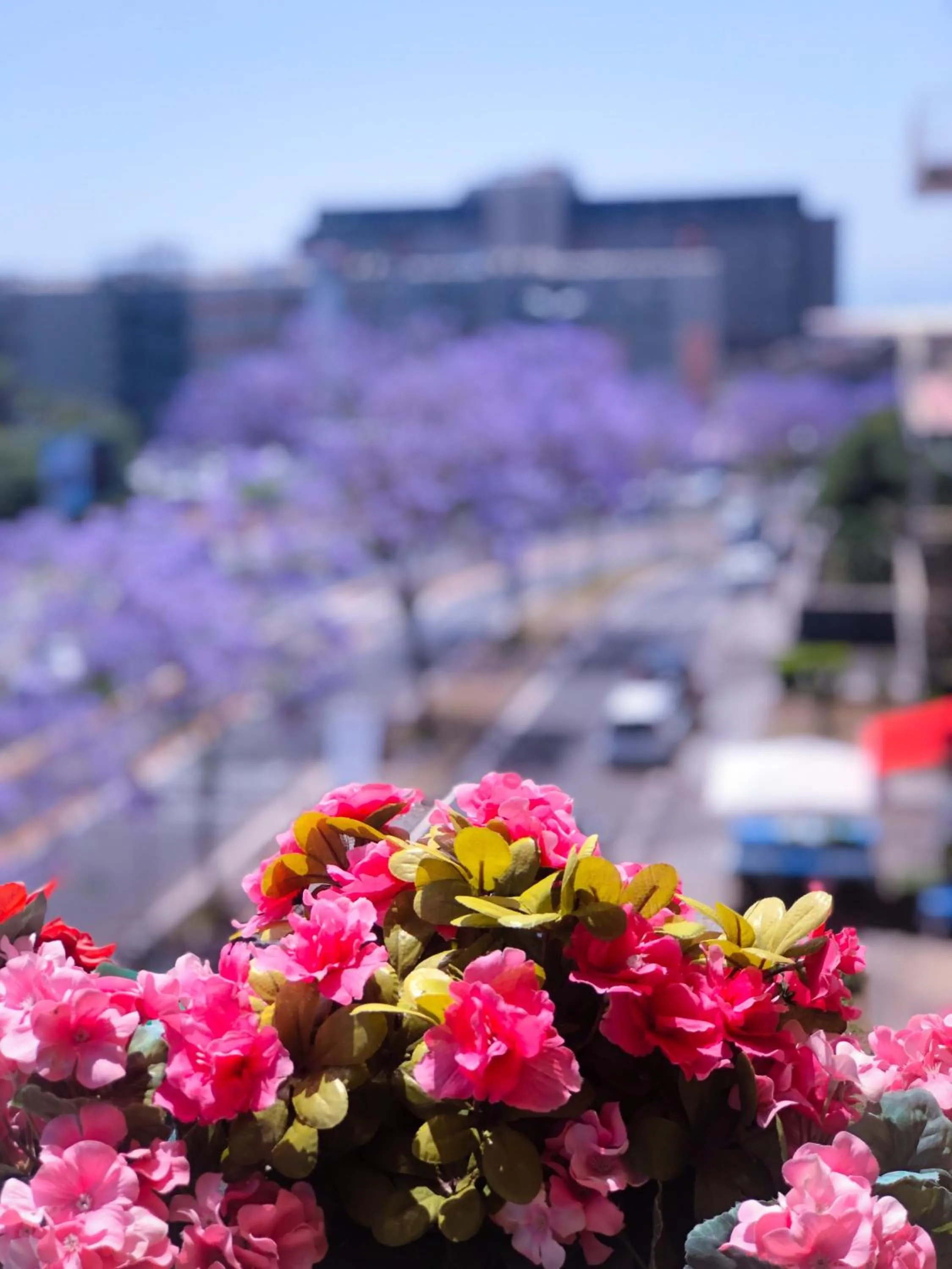 Property building in B&B Policlinico Gaspare Rodolico