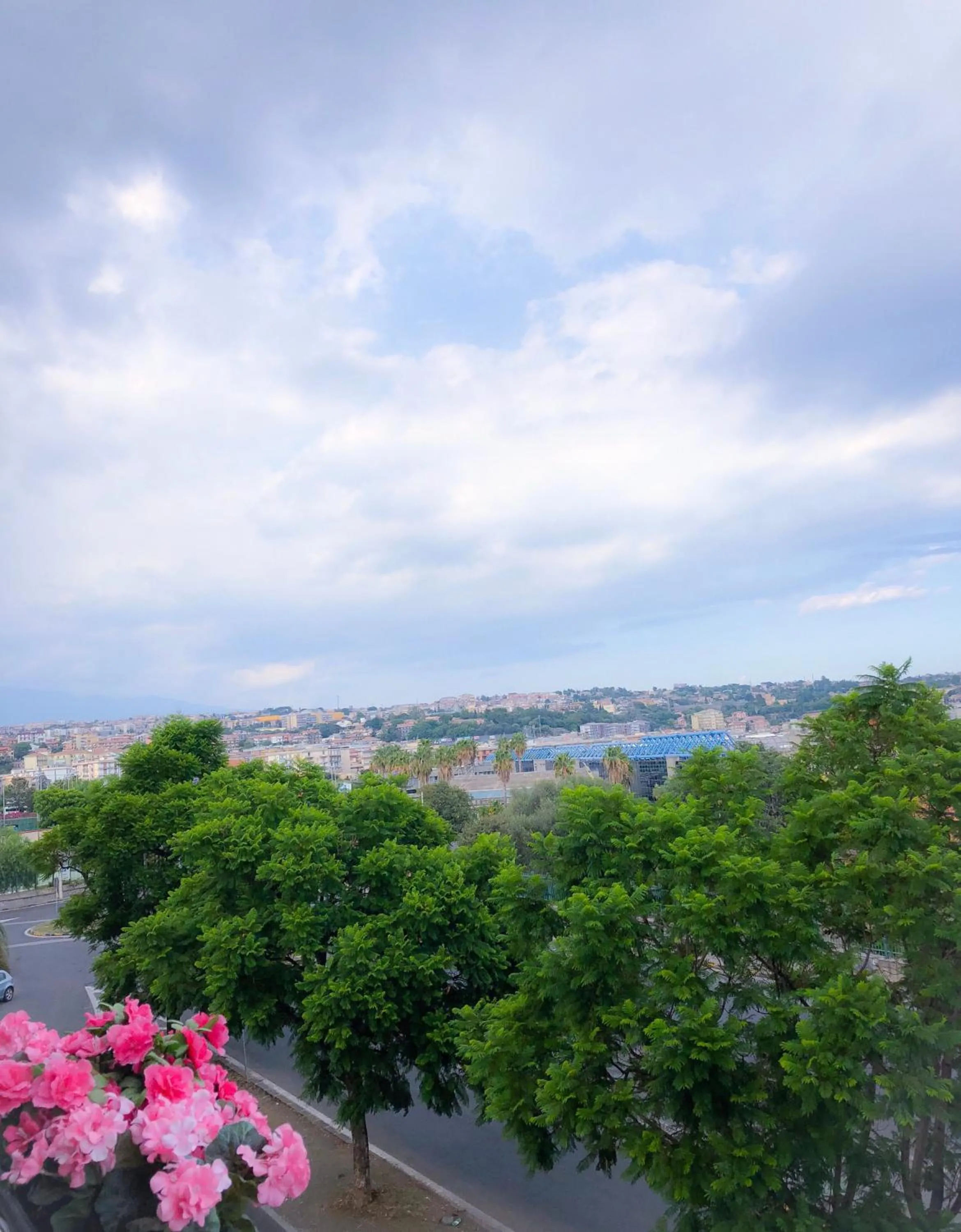 Quiet street view in B&B Policlinico Gaspare Rodolico