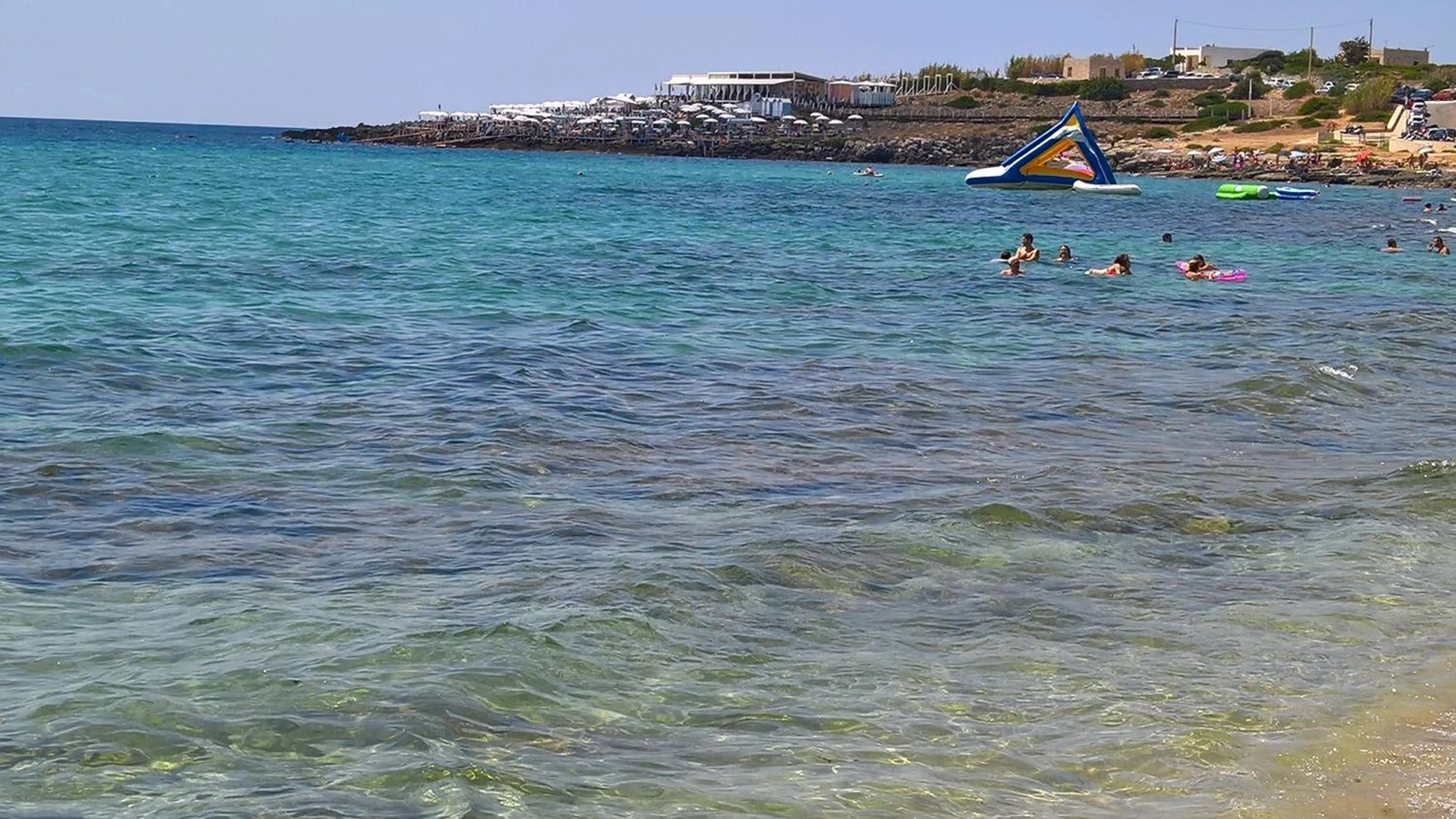 Other in B&B Verardo