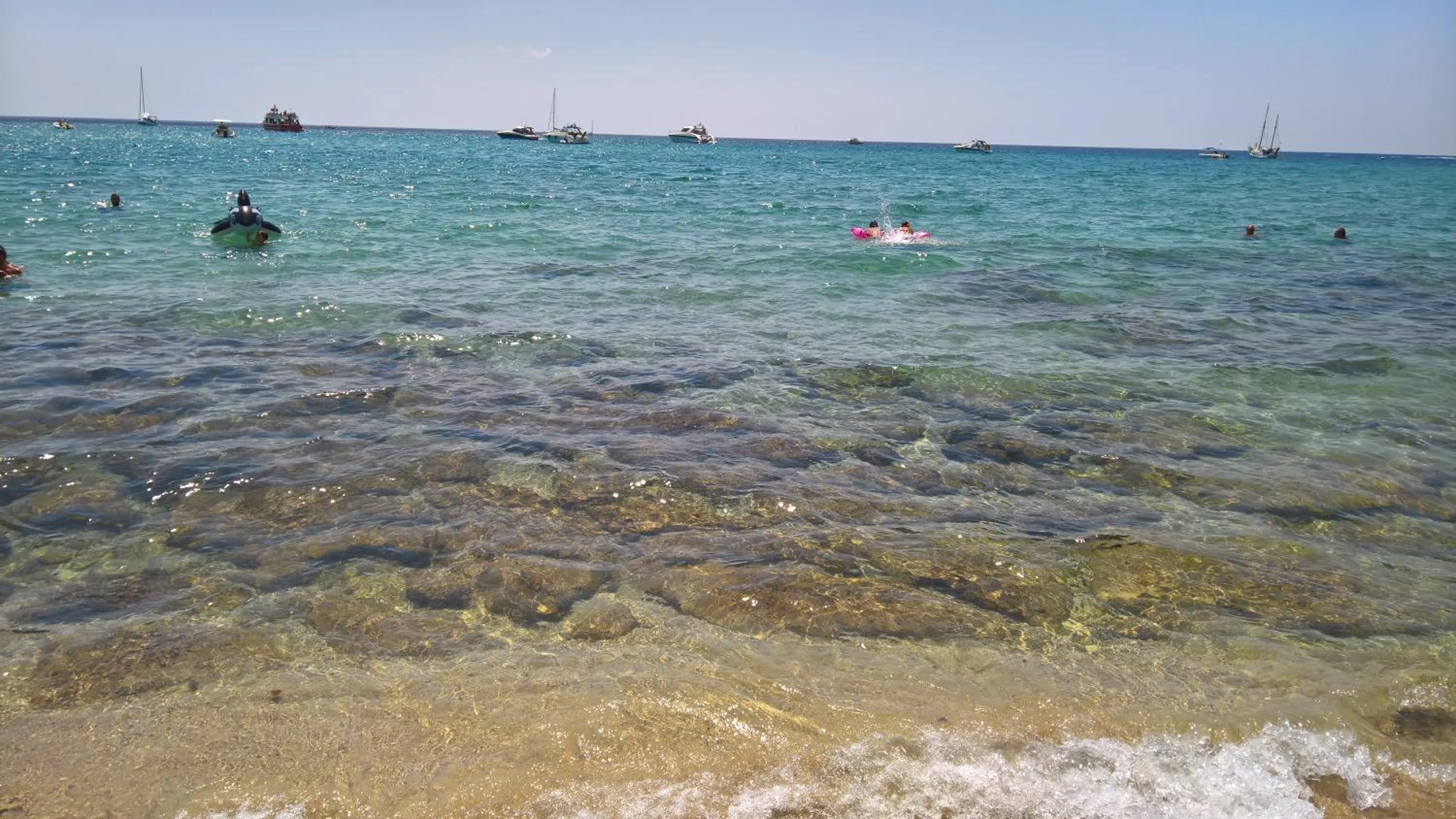 Logo/Certificate/Sign in B&B Verardo