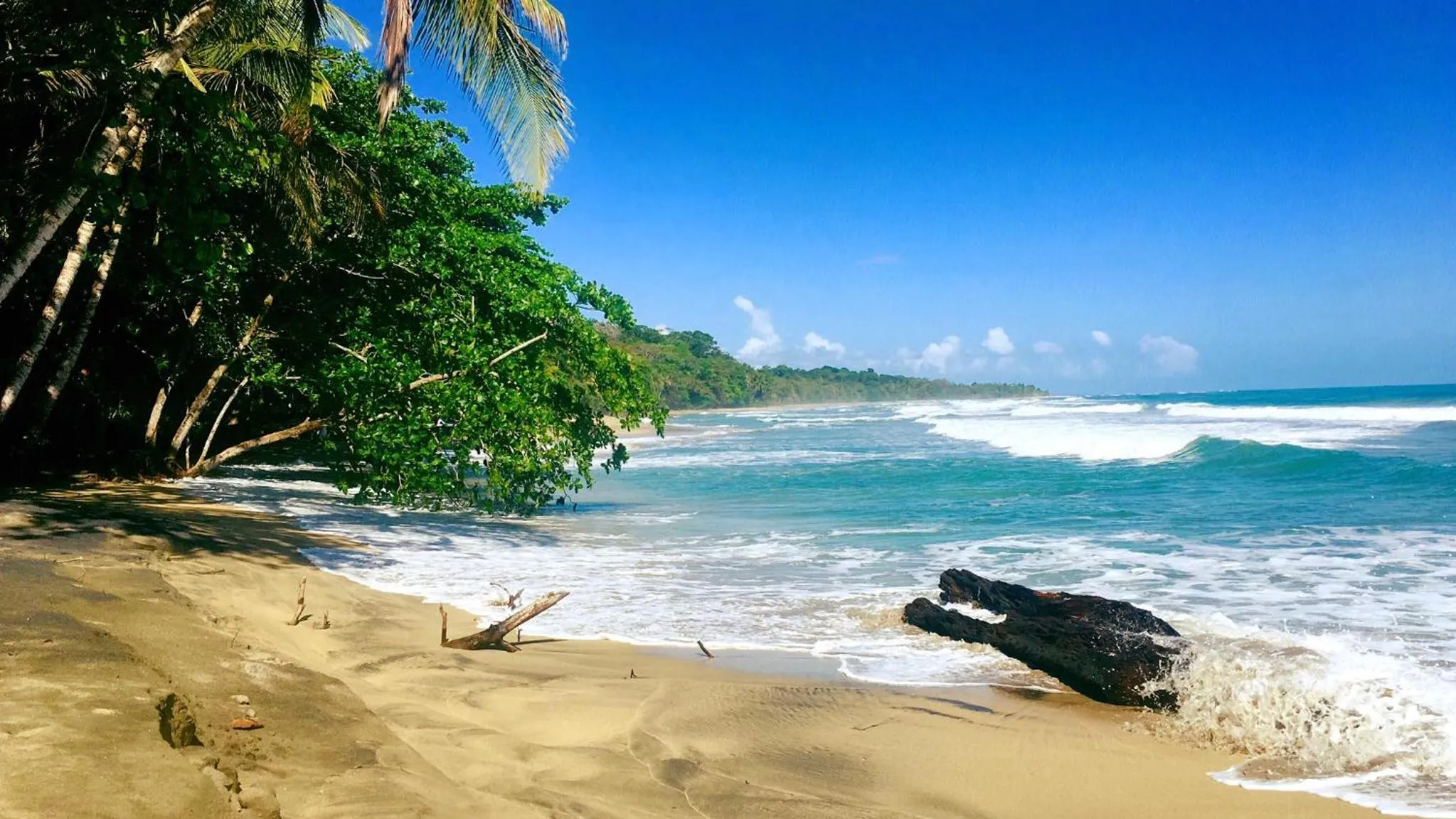 Beach in Hotel Faith Glamping Dome Costa Rica