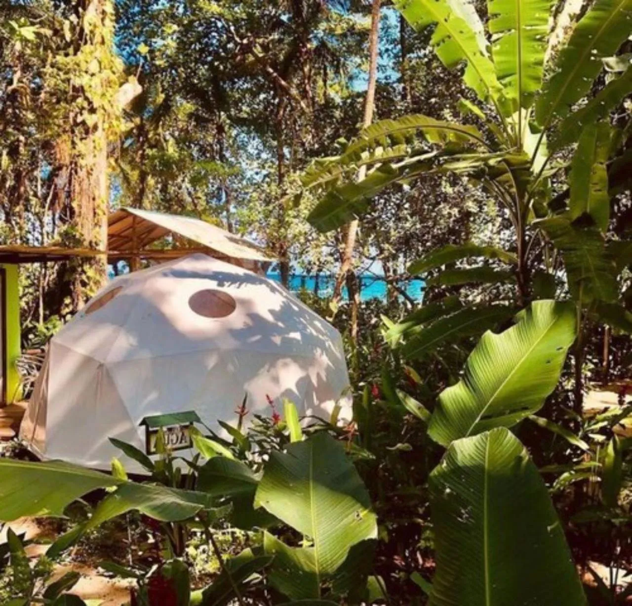 Garden view in Hotel Faith Glamping Dome Costa Rica