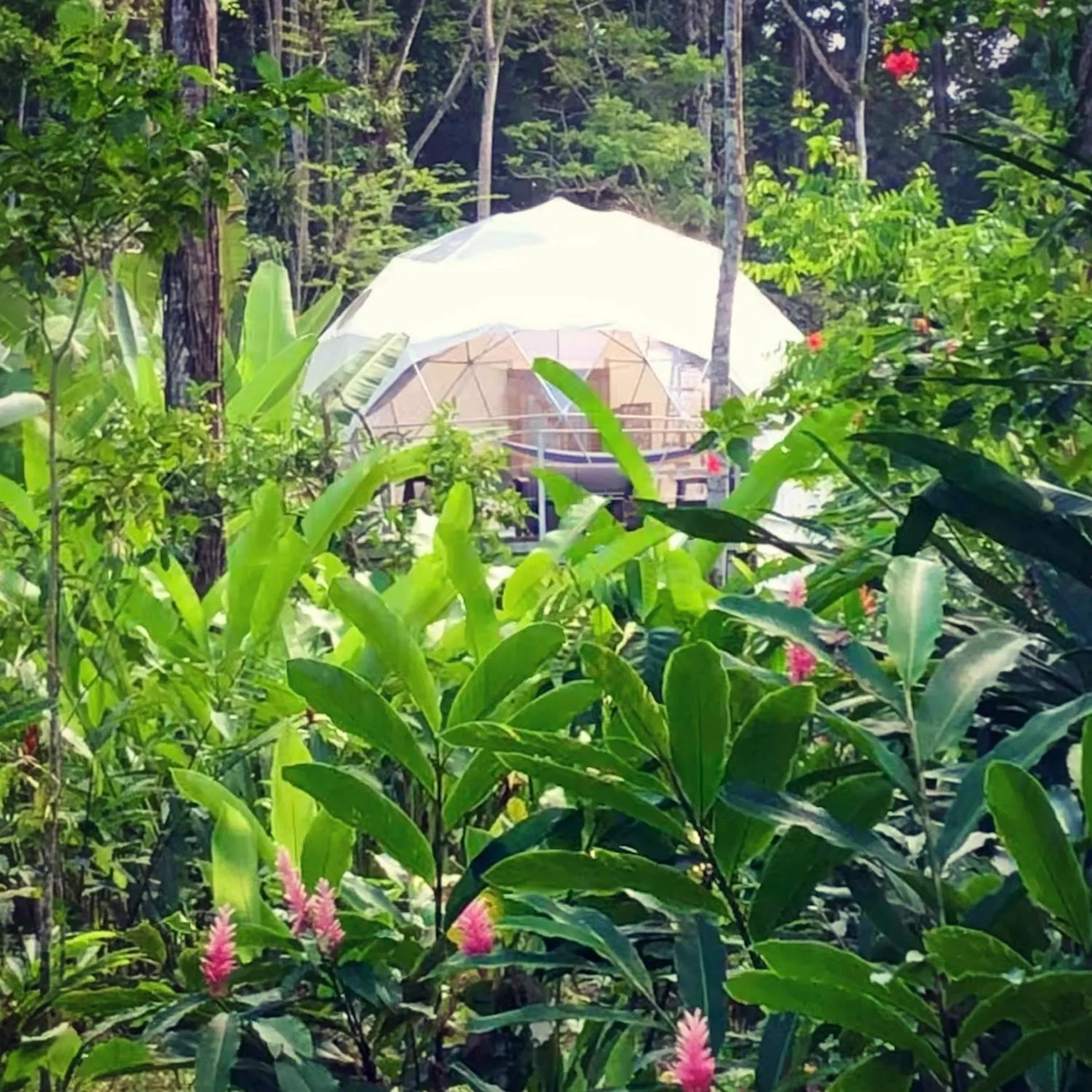 Garden view in Hotel Faith Glamping Dome Costa Rica