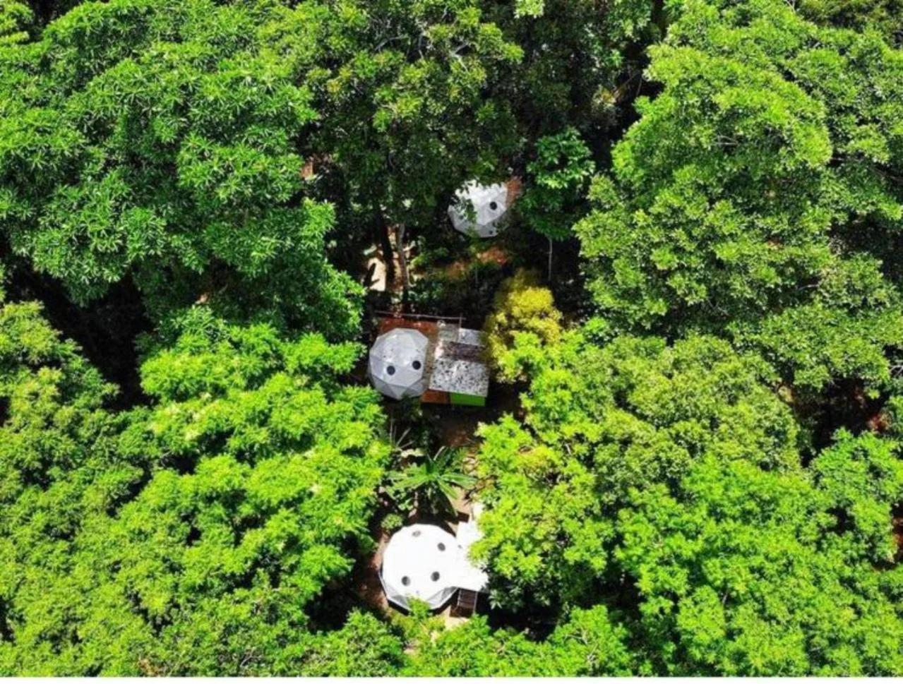 Bird's eye view in Hotel Faith Glamping Dome Costa Rica