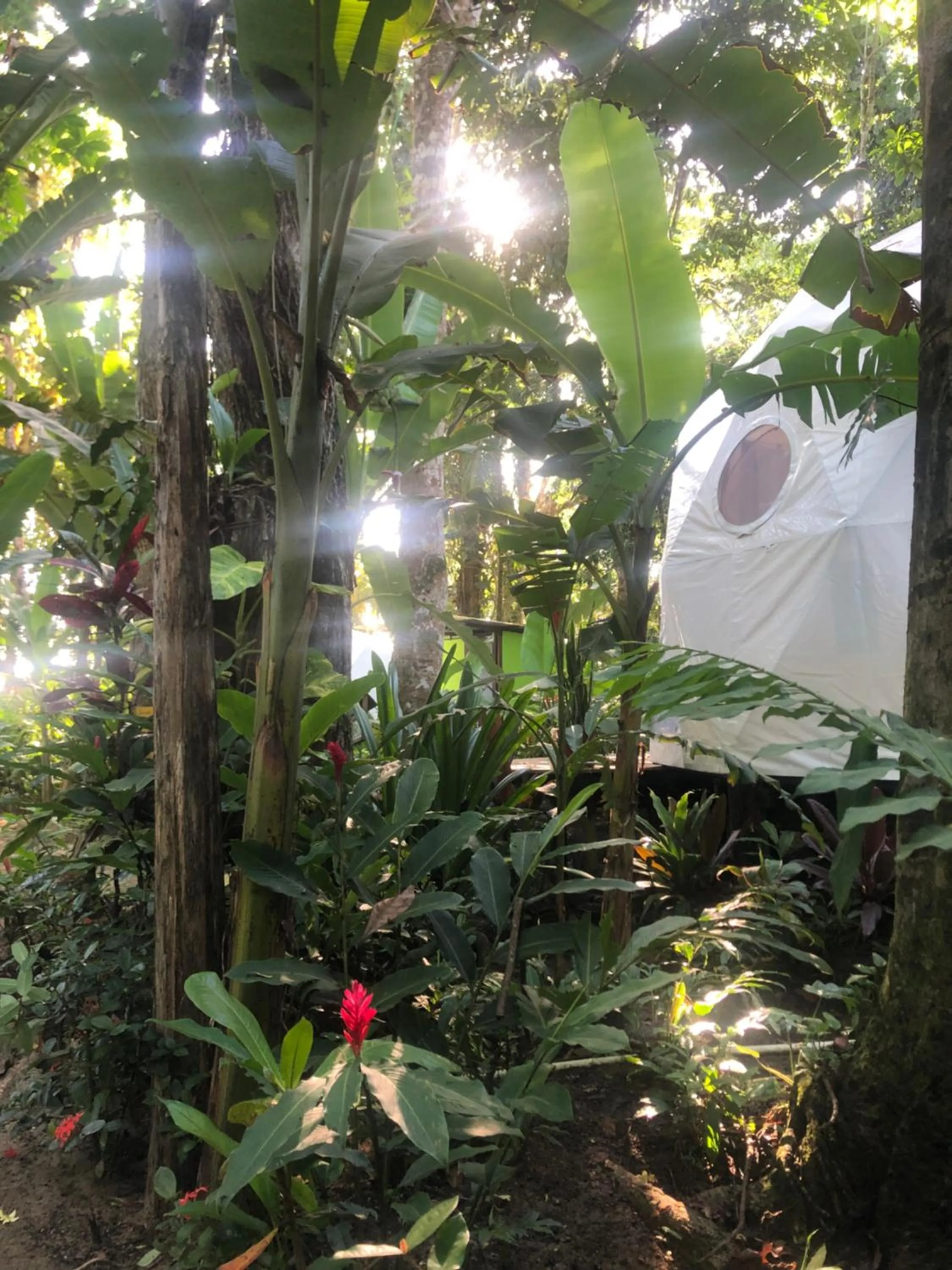Garden in Hotel Faith Glamping Dome Costa Rica