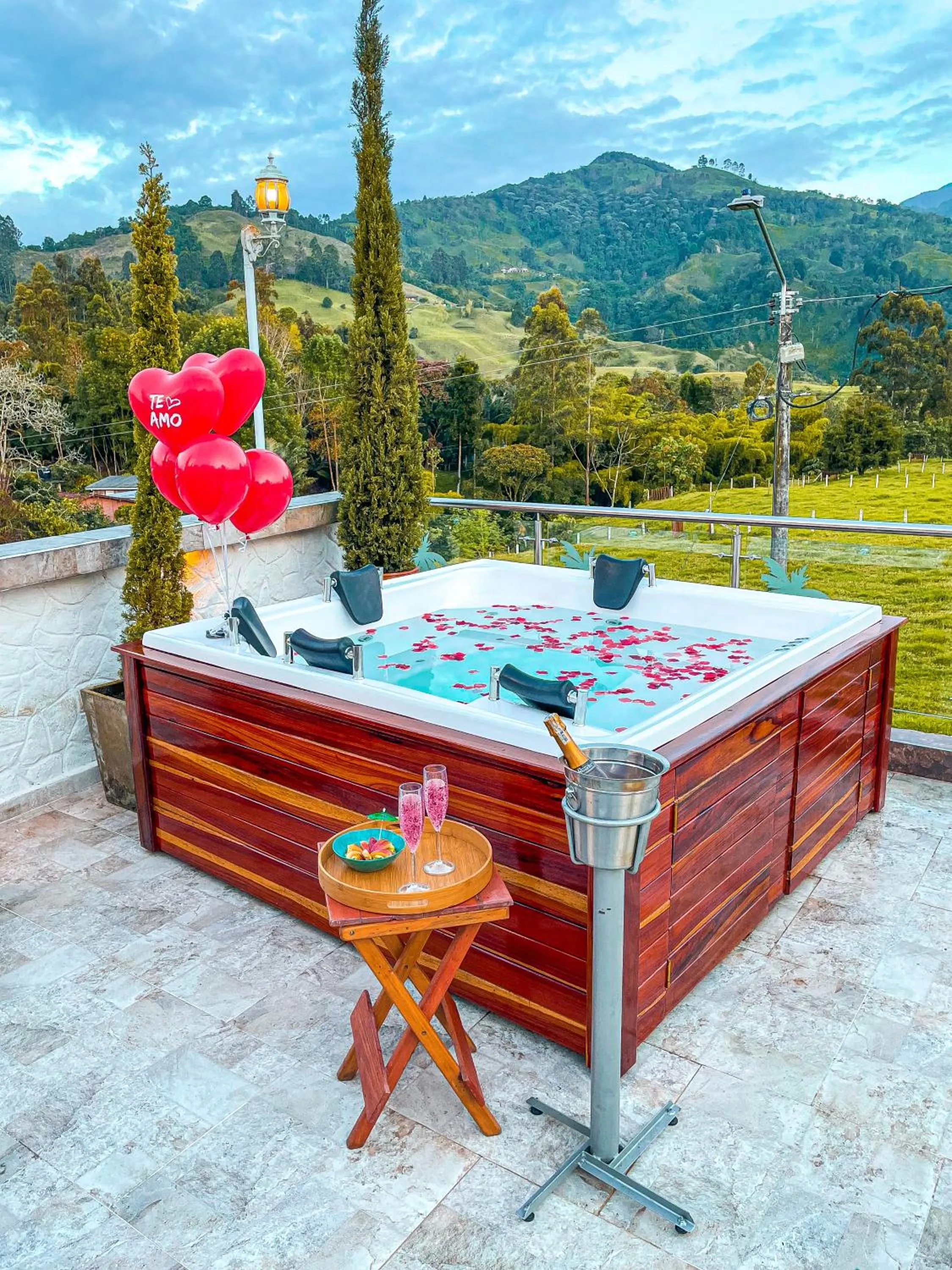 Mountain view in Hotel Boutique Palmas de Salento