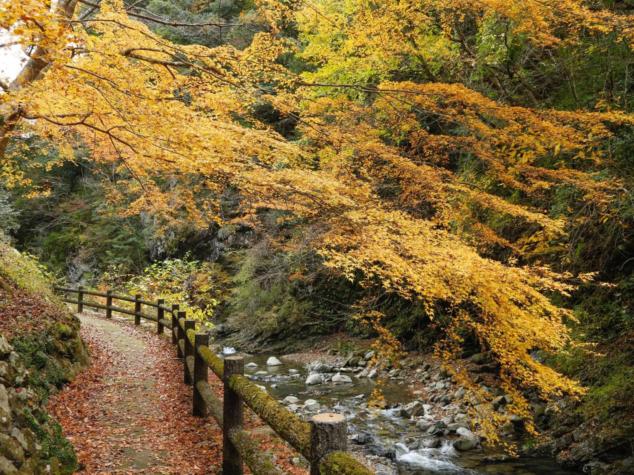 Natural landscape in Asan Kotonami