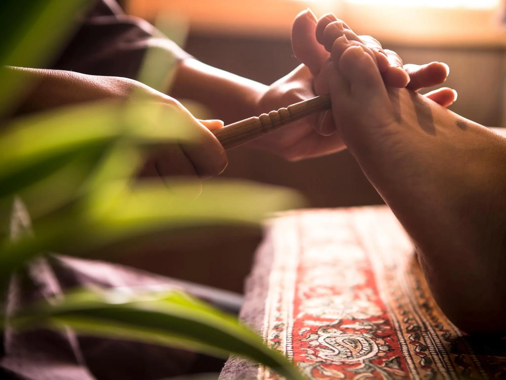 Massage in Asan Kotonami