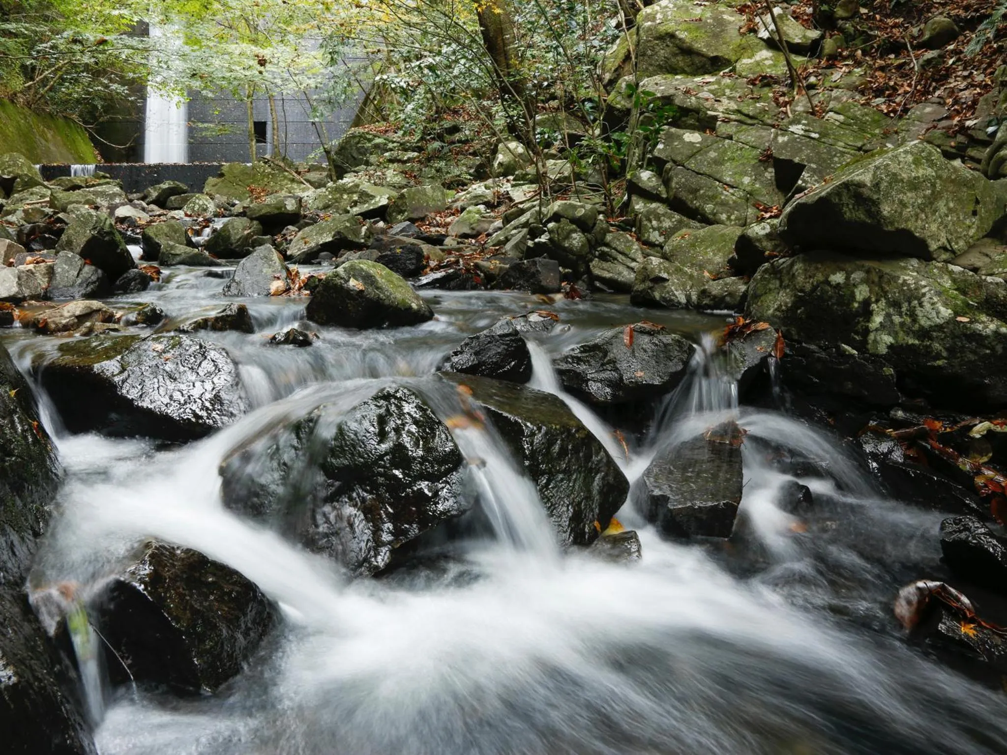 Natural landscape in Asan Kotonami
