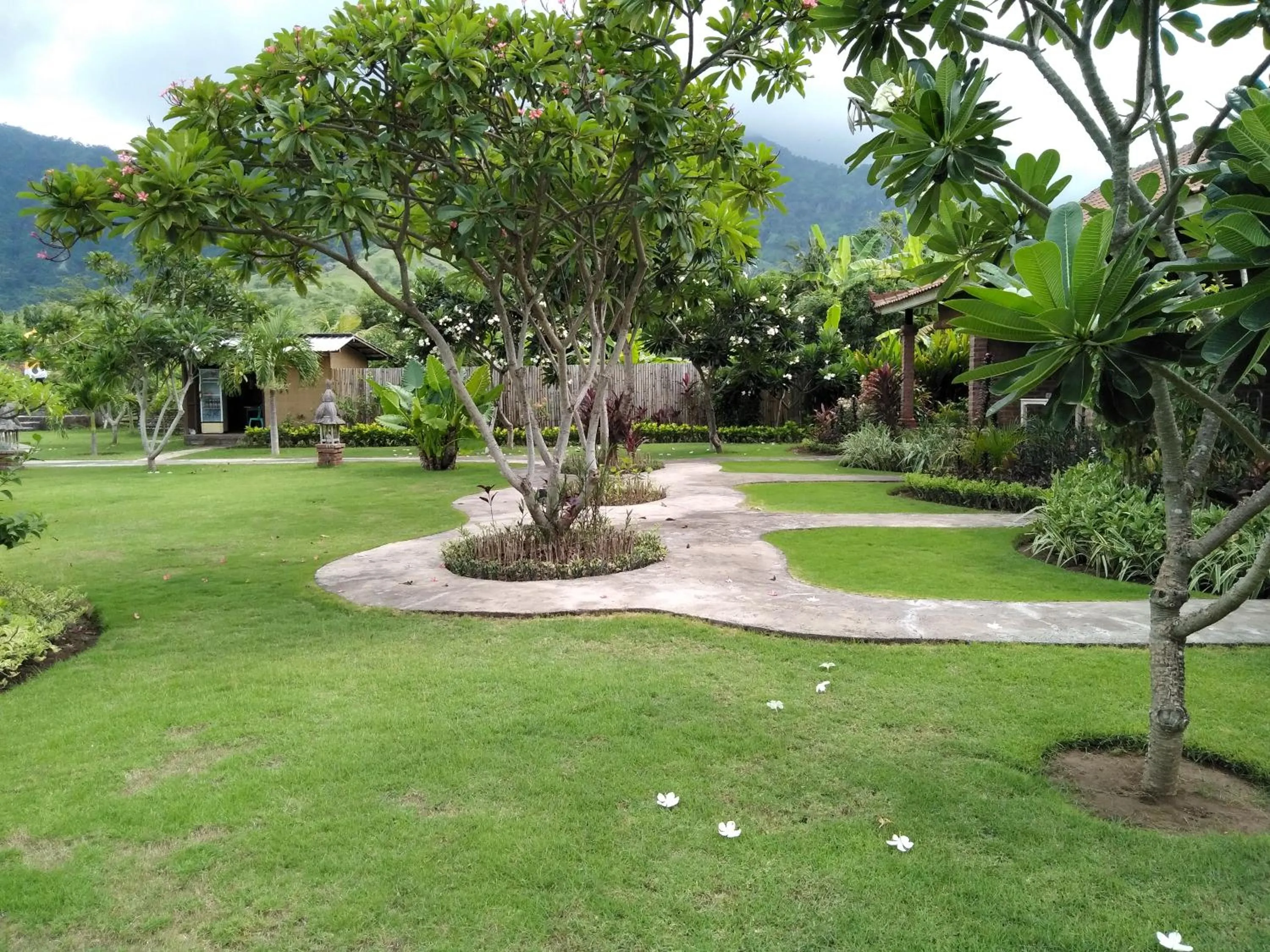 Garden in Krisna Homestay