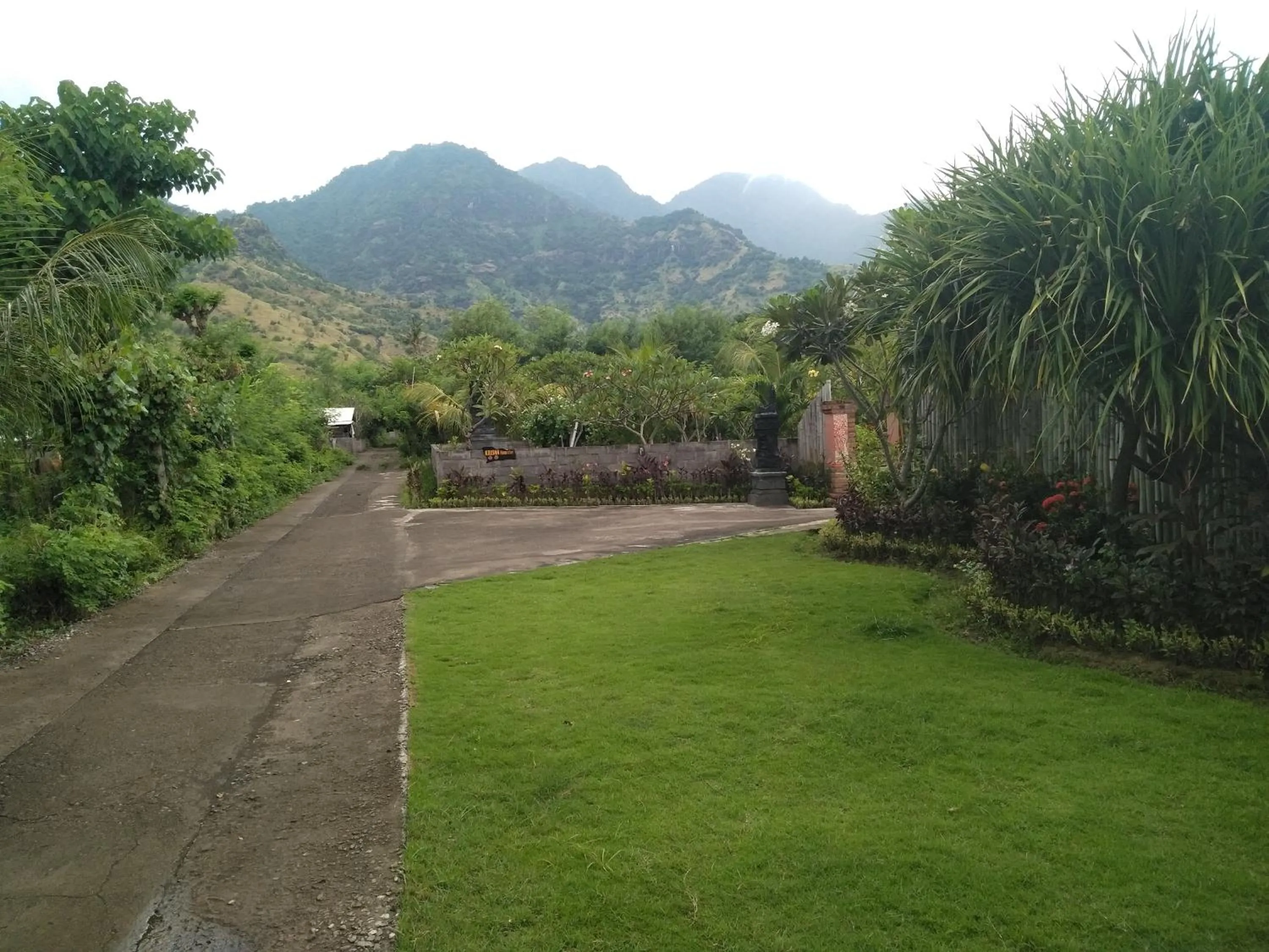 Mountain view in Krisna Homestay